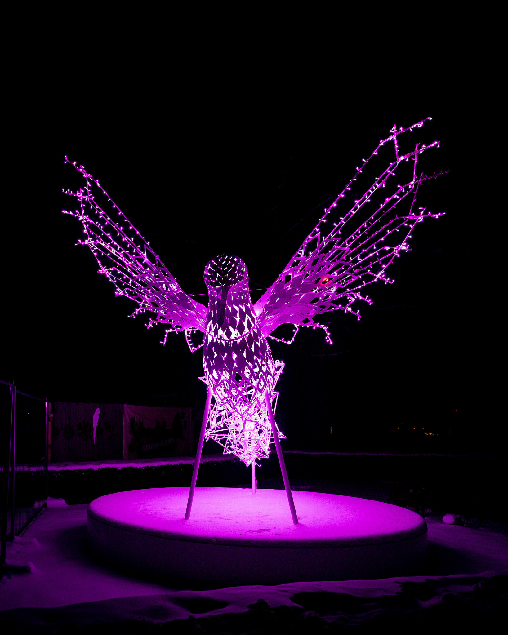 Magisches Tropenleuchten 2026