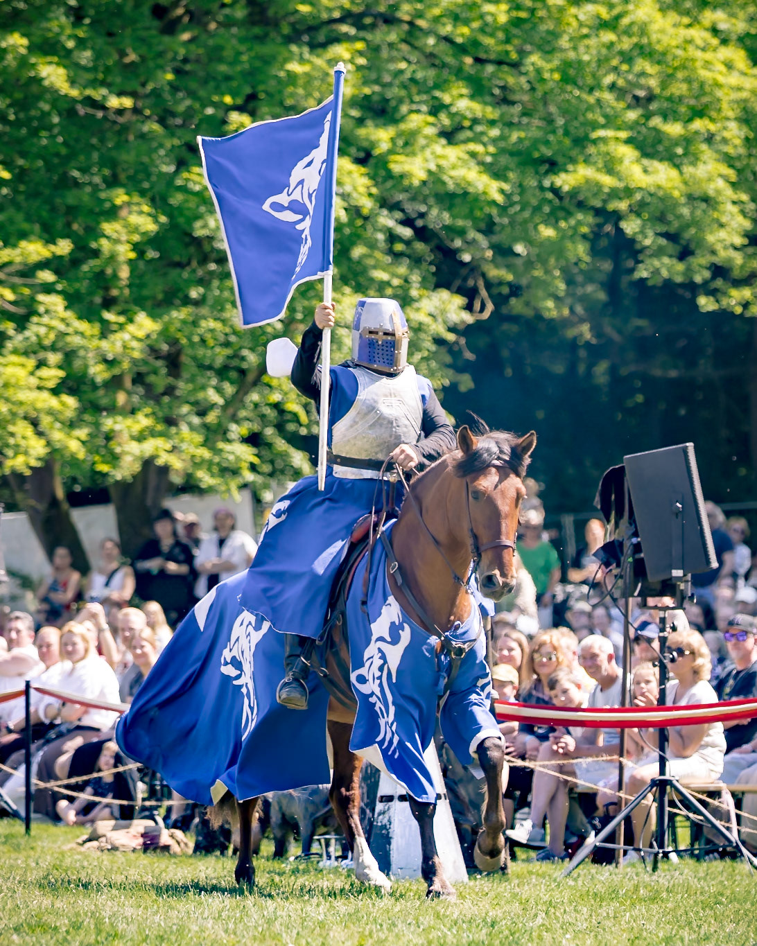 EHS - Das Schicksal der Drachen @ Junior MPS