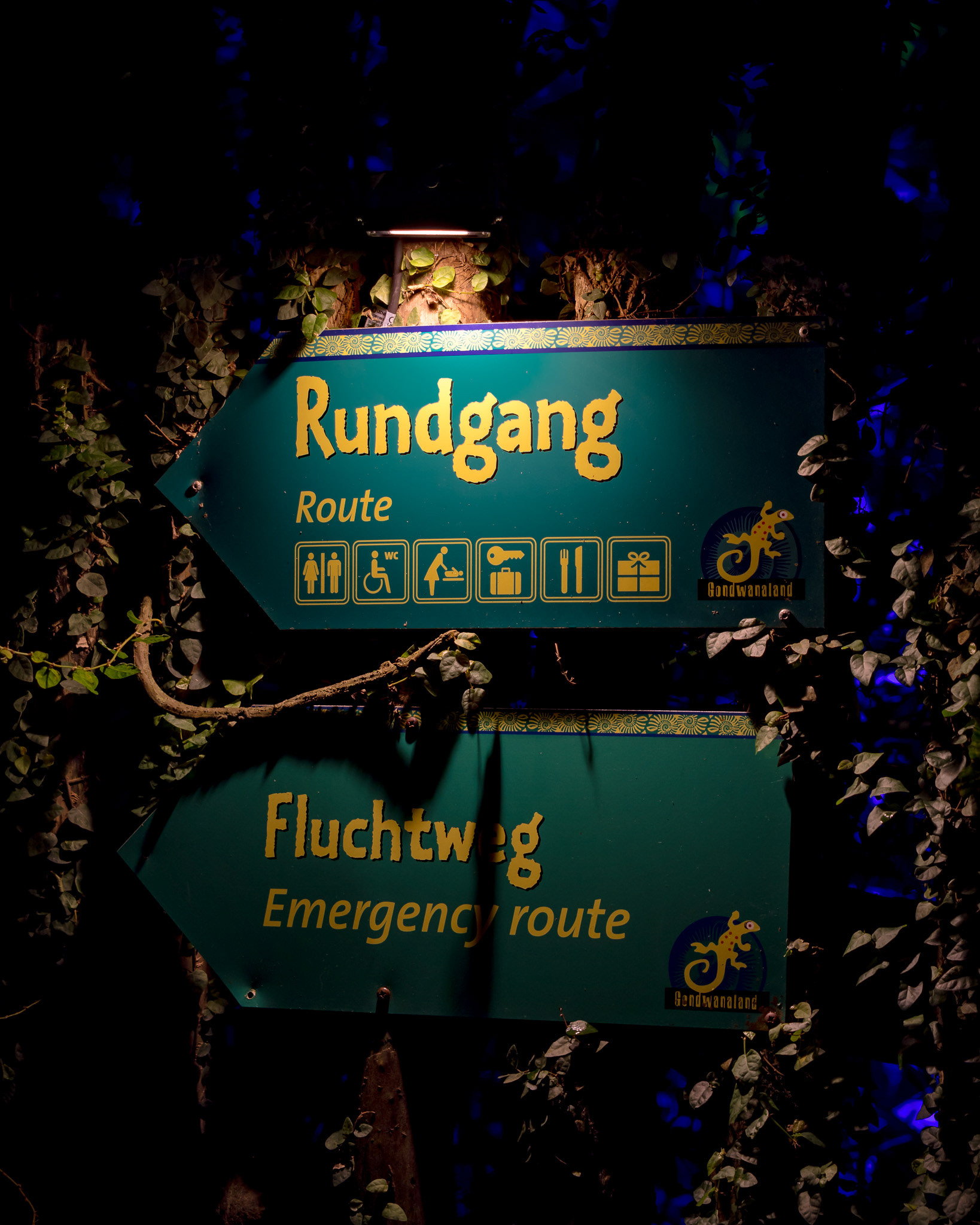 Magisches Tropenleuchten 2026