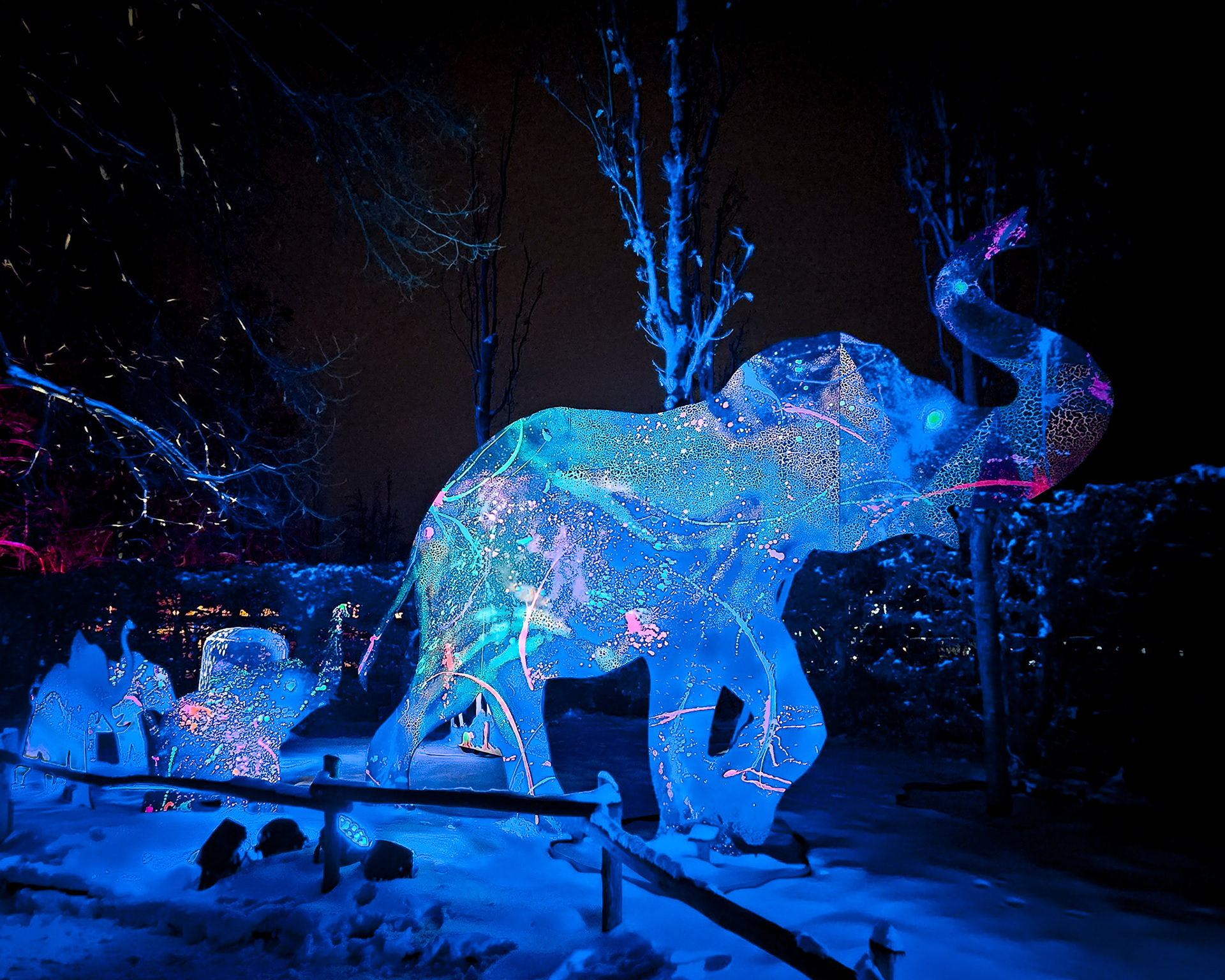 Magisches Tropenleuchten 2026