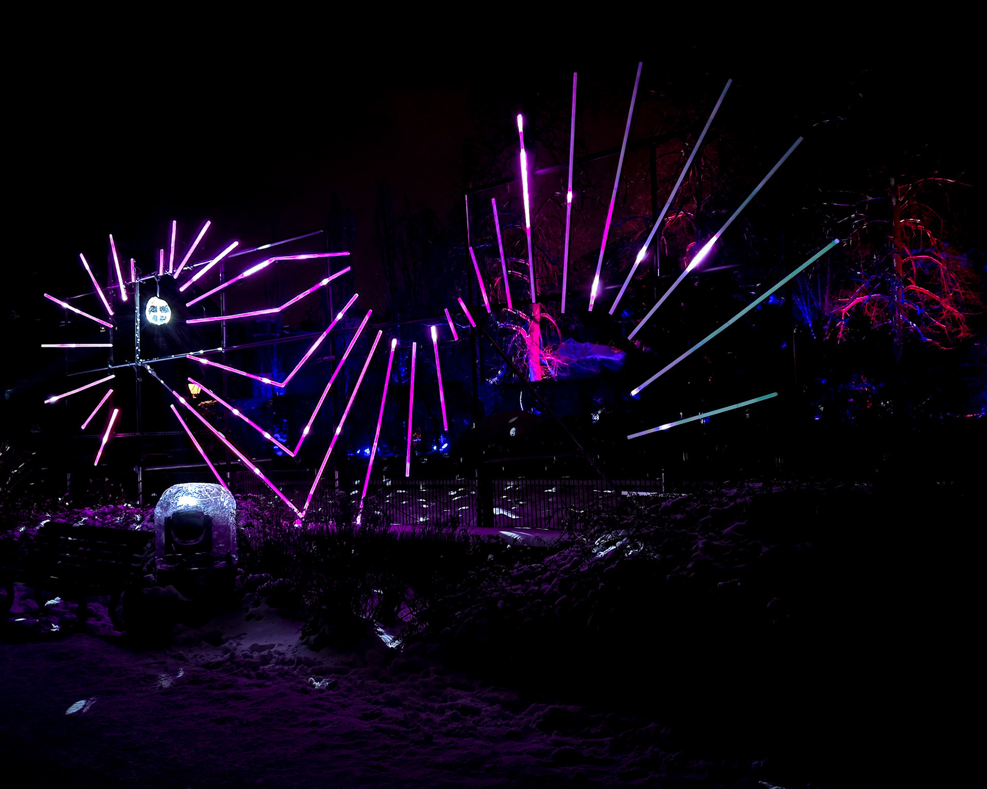 Magisches Tropenleuchten 2026