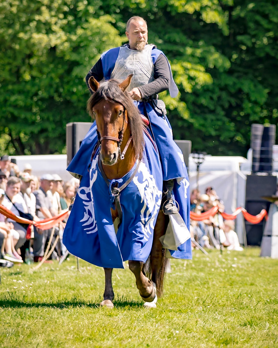 EHS - Das Schicksal der Drachen @ Junior MPS