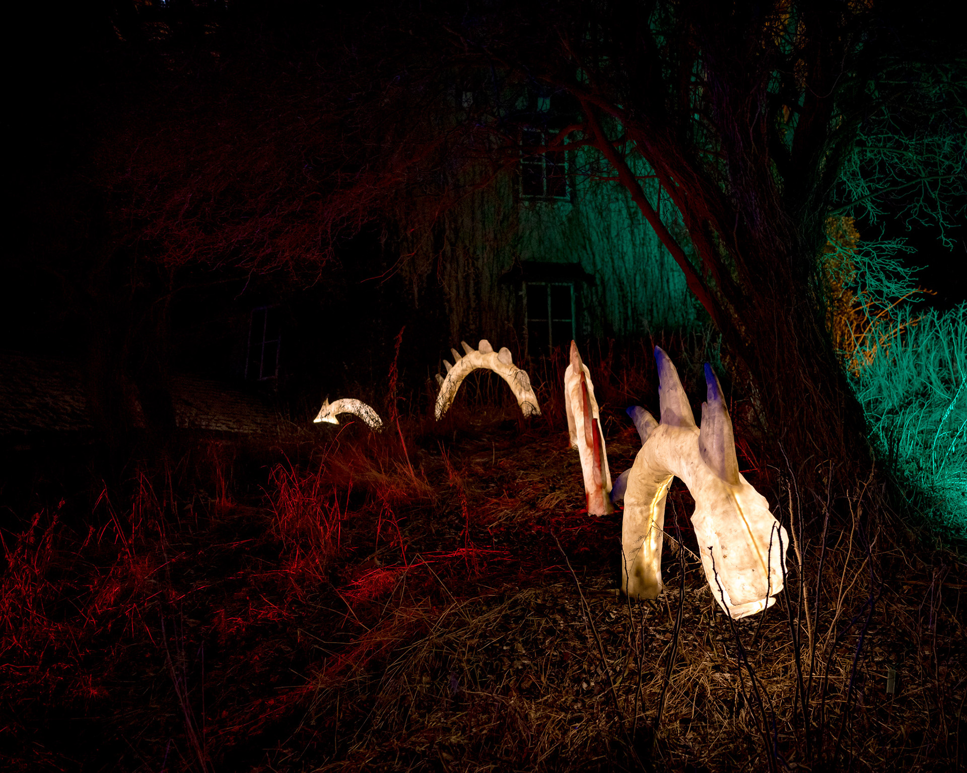 BRAWO Mühlenlichter 2026