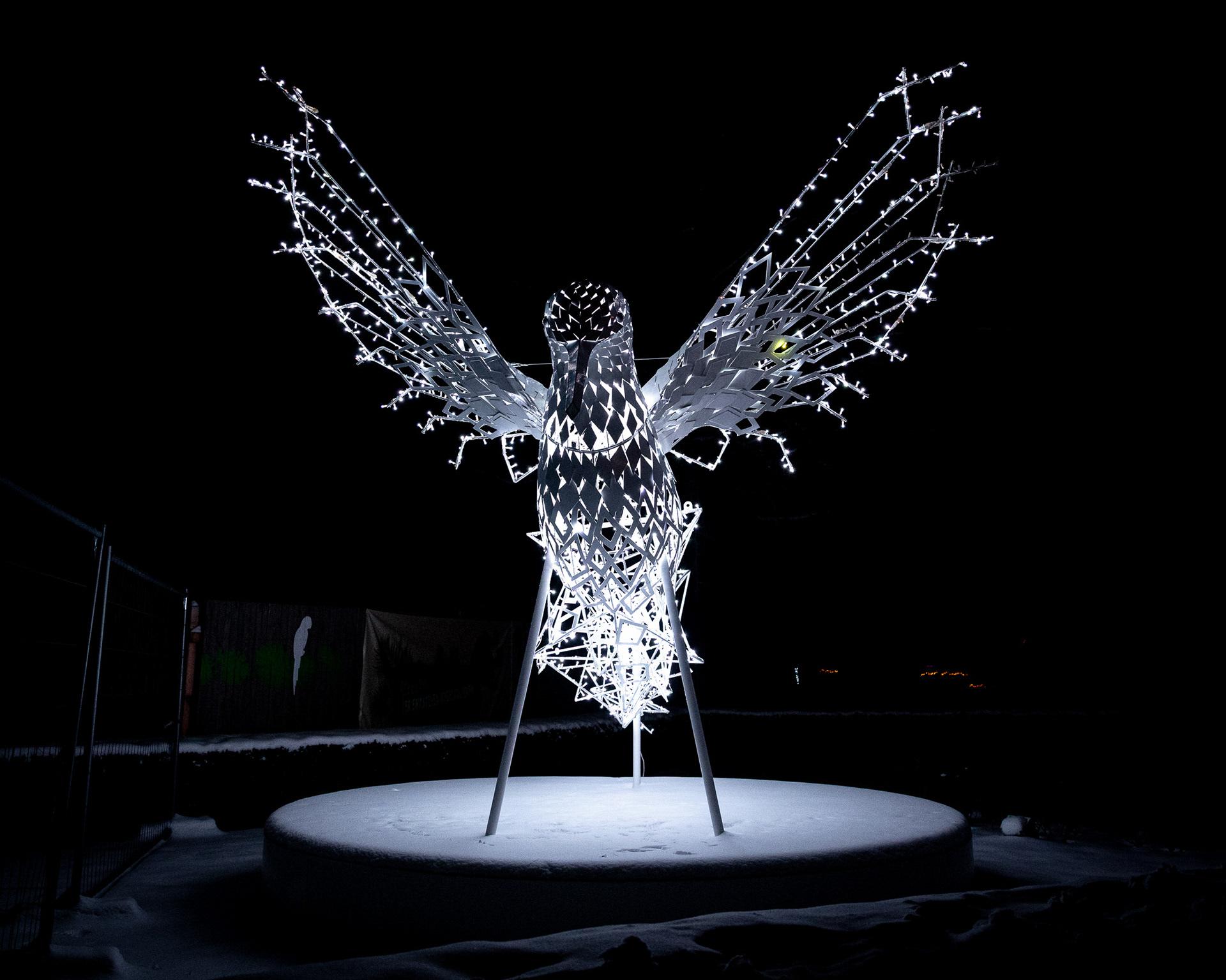 Magisches Tropenleuchten 2026