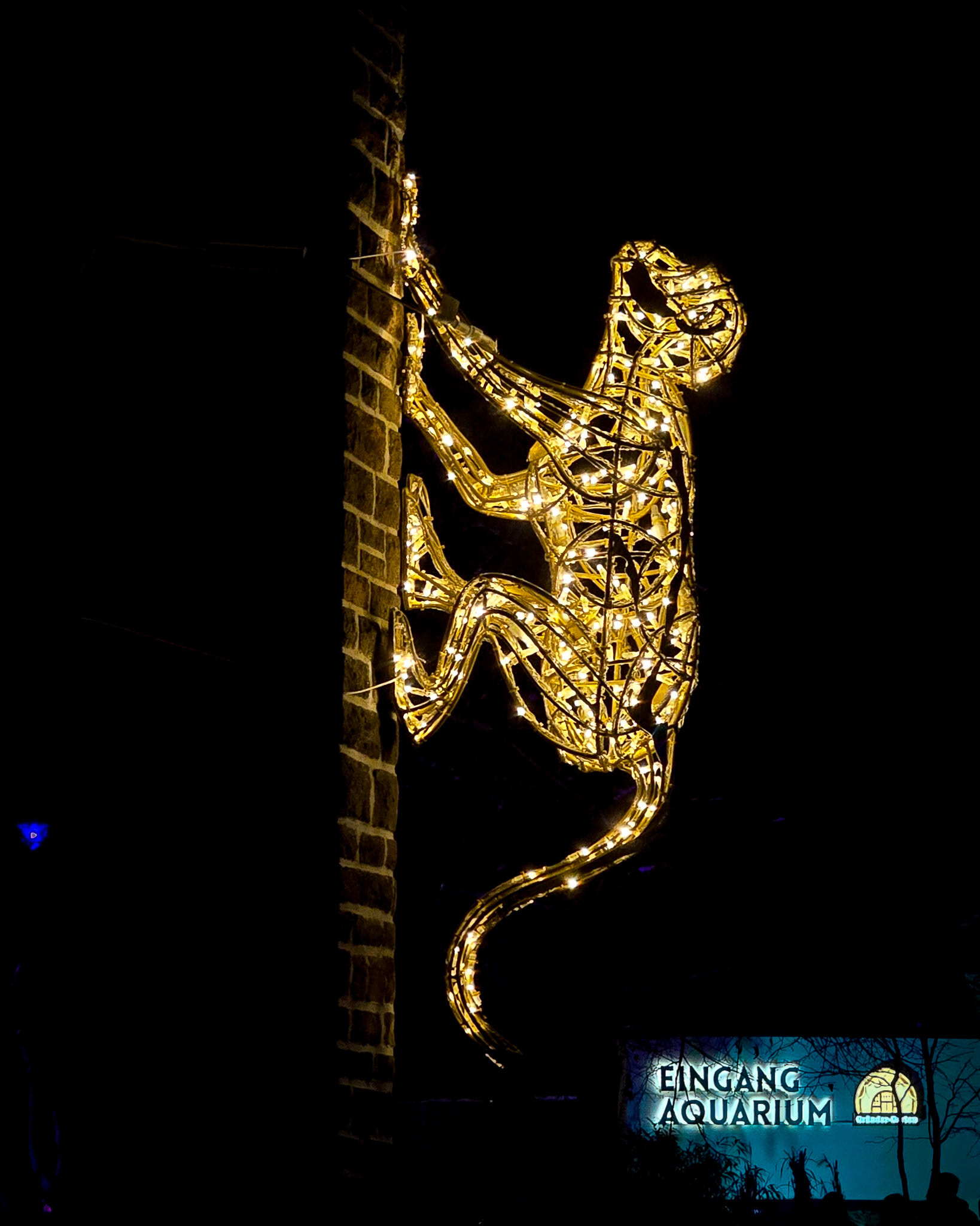 Magisches Tropenleuchten 2026