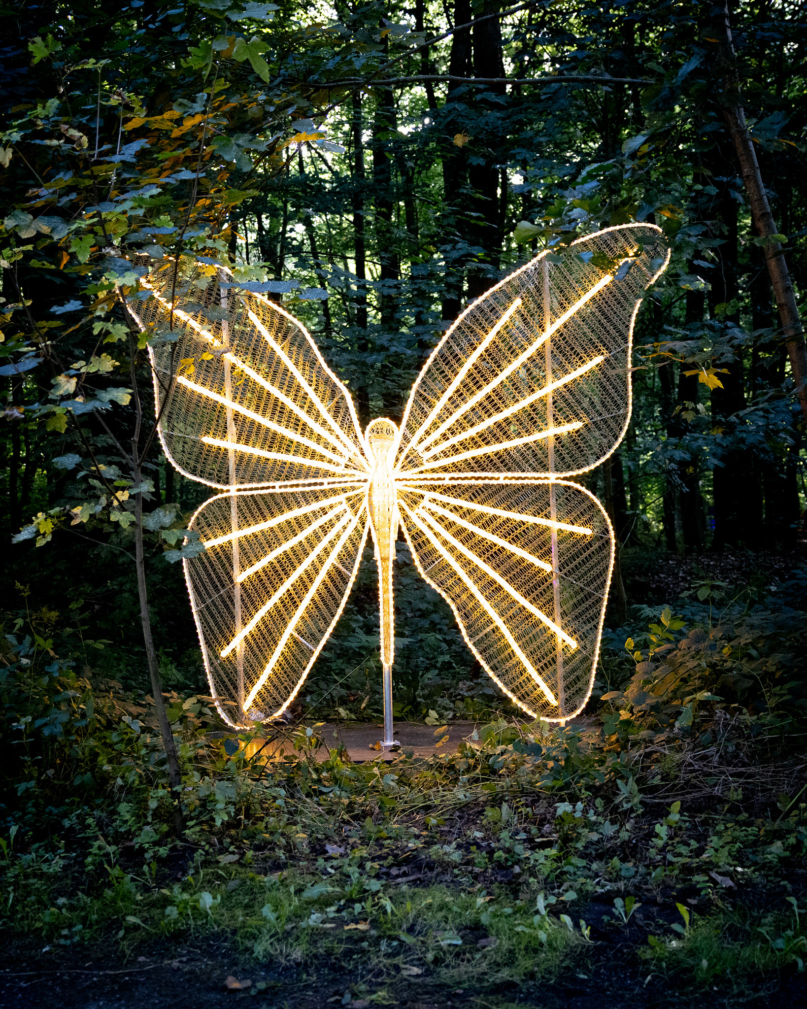 Lichterwelten 2026