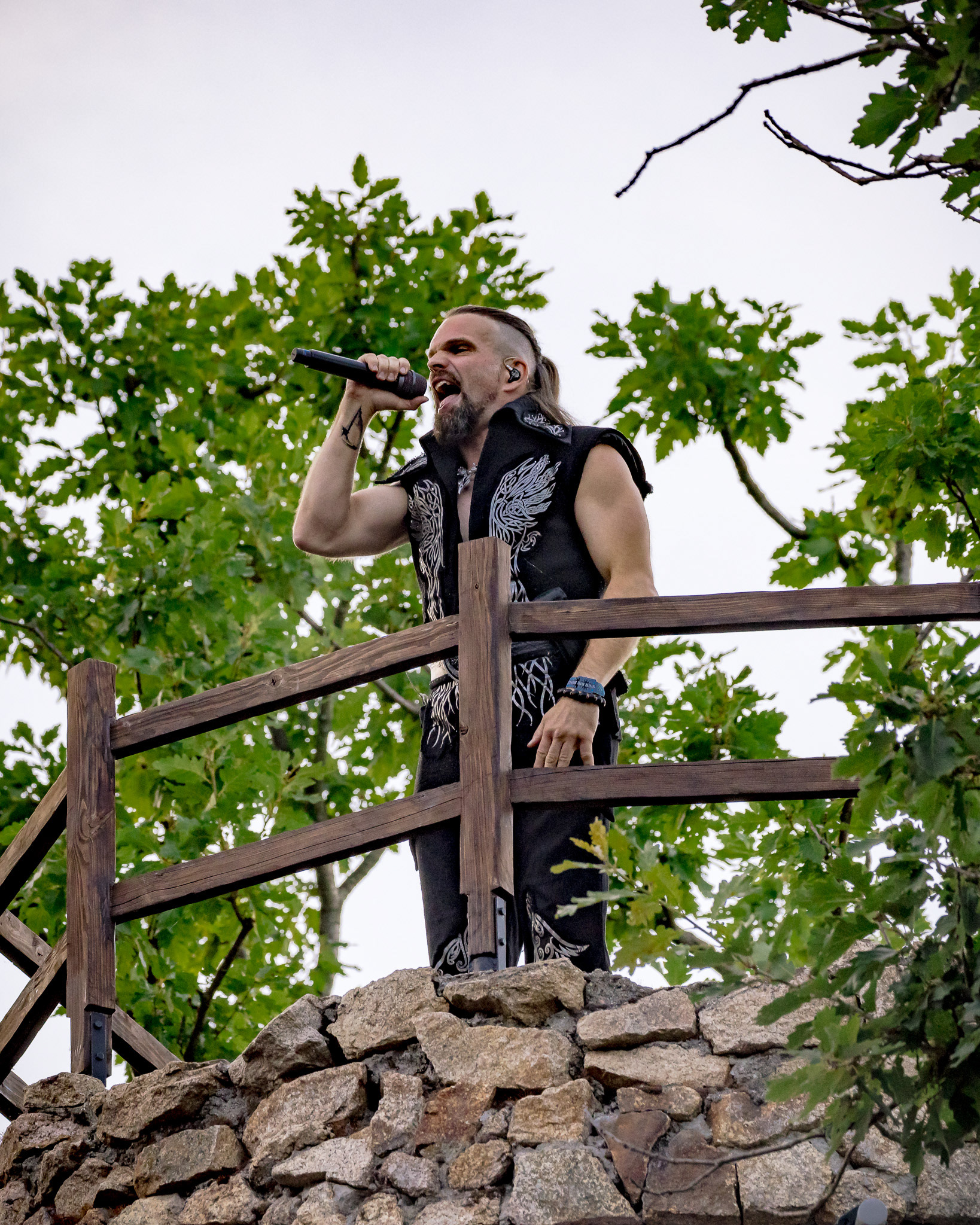 Saltatio Mortis -Staub und Schatten - Thale