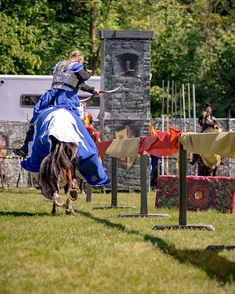 EHS - Das Schicksal der Drachen @ Junior MPS