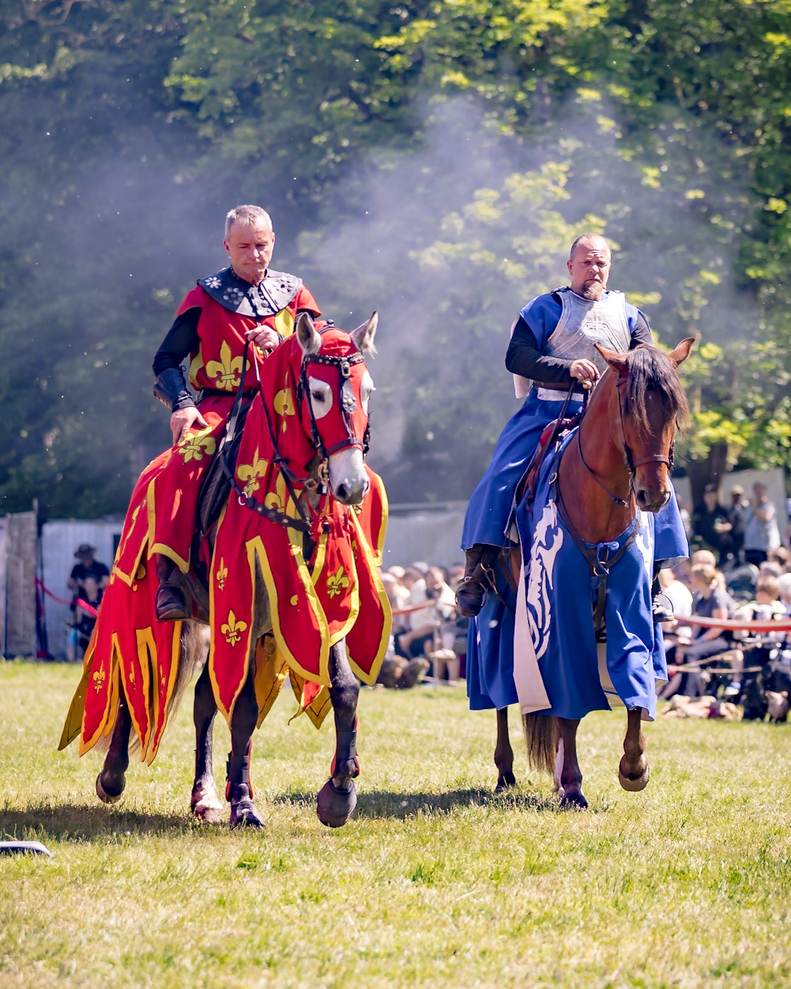 EHS - Das Schicksal der Drachen @ Junior MPS