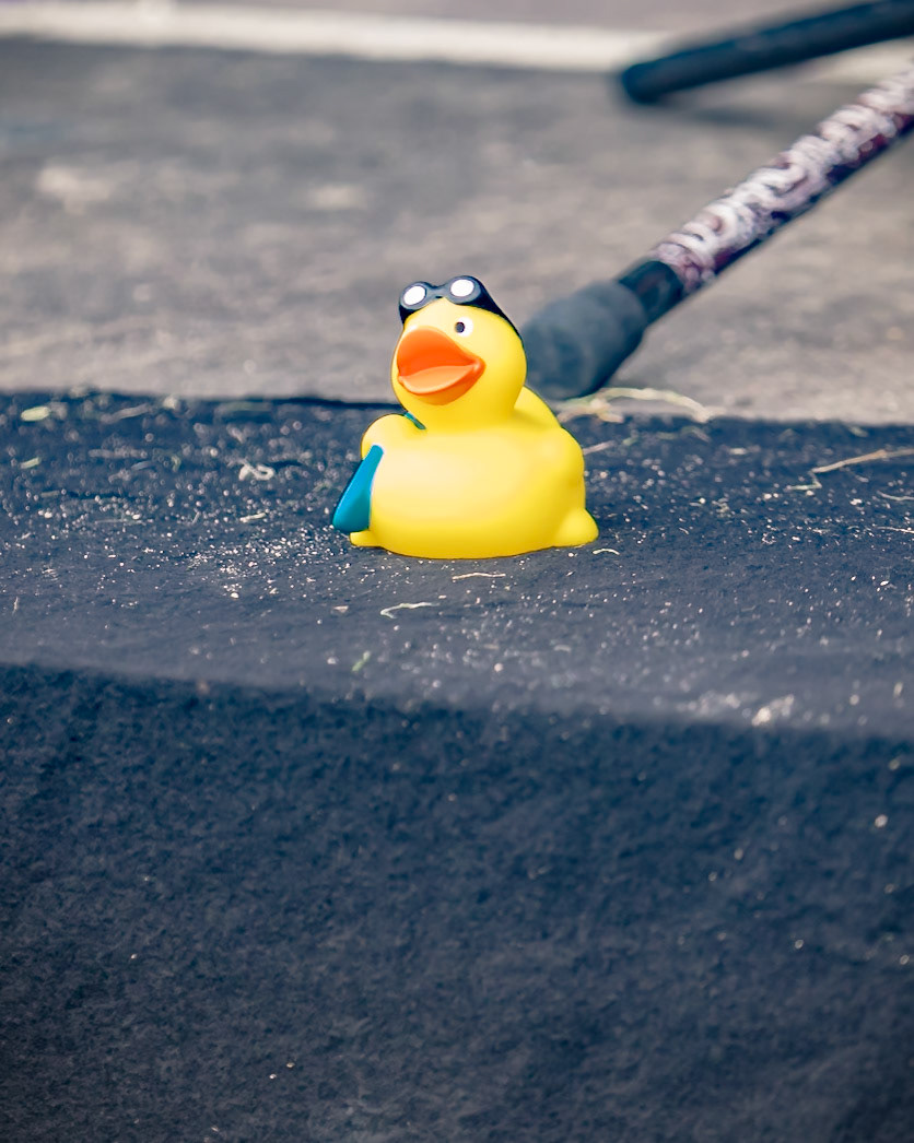 Bardehaus @ MPS Rastede