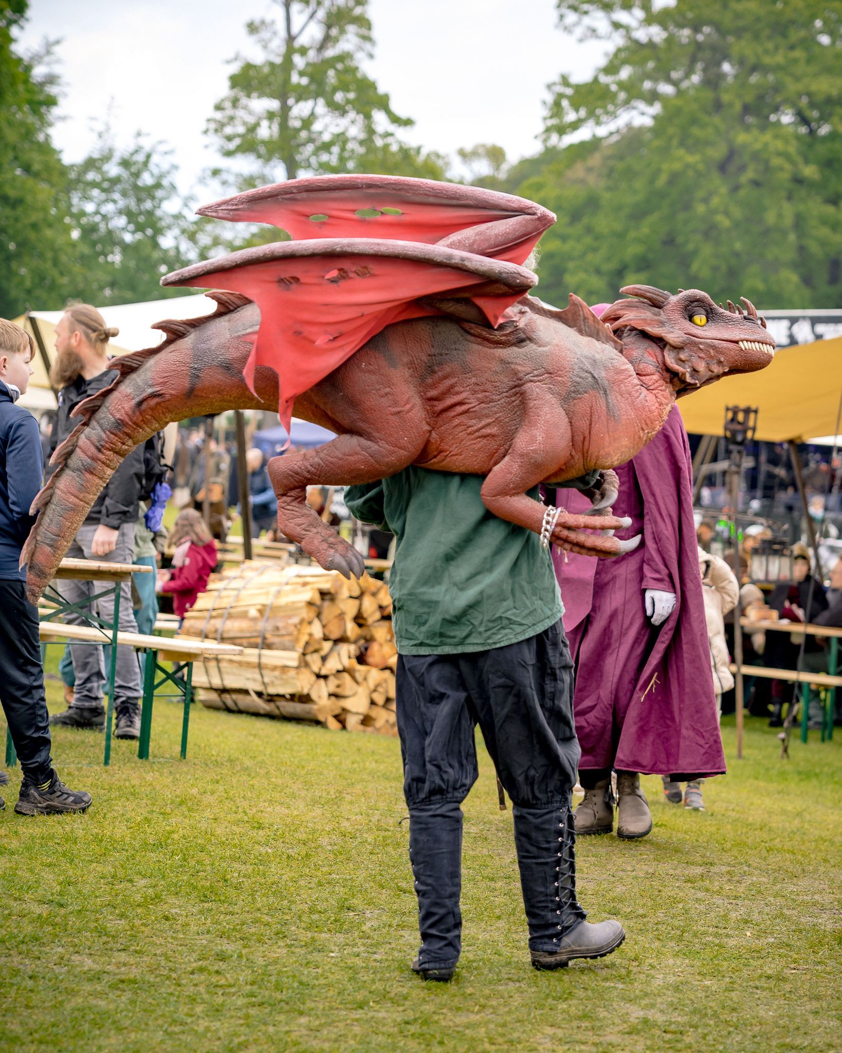 RaptoRex - MPS Rastede 2026