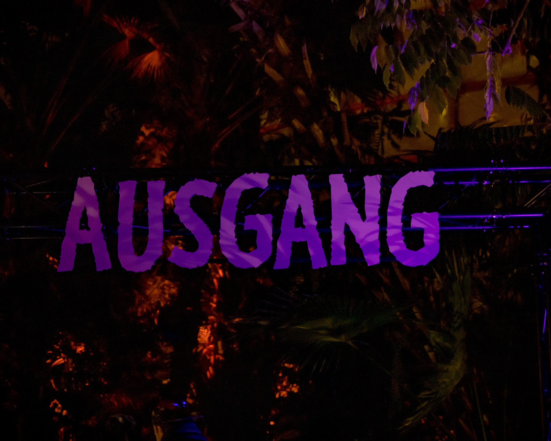 Magisches Tropenleuchten 2026