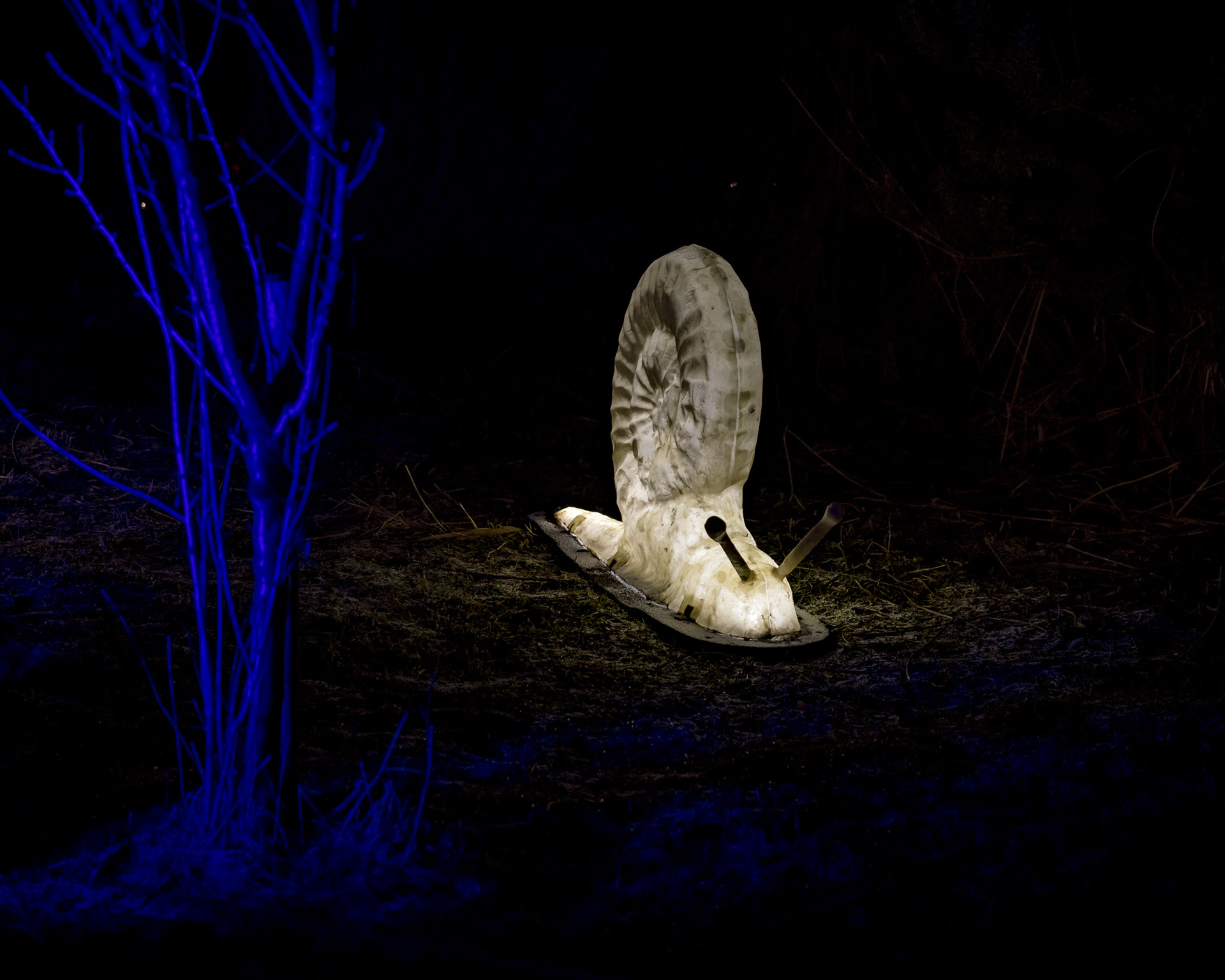 BRAWO Mühlenlichter 2026