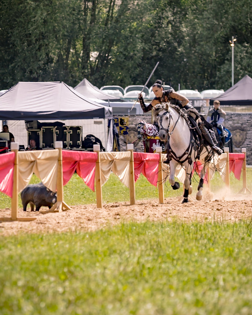 EHS - MPS Bückeburg