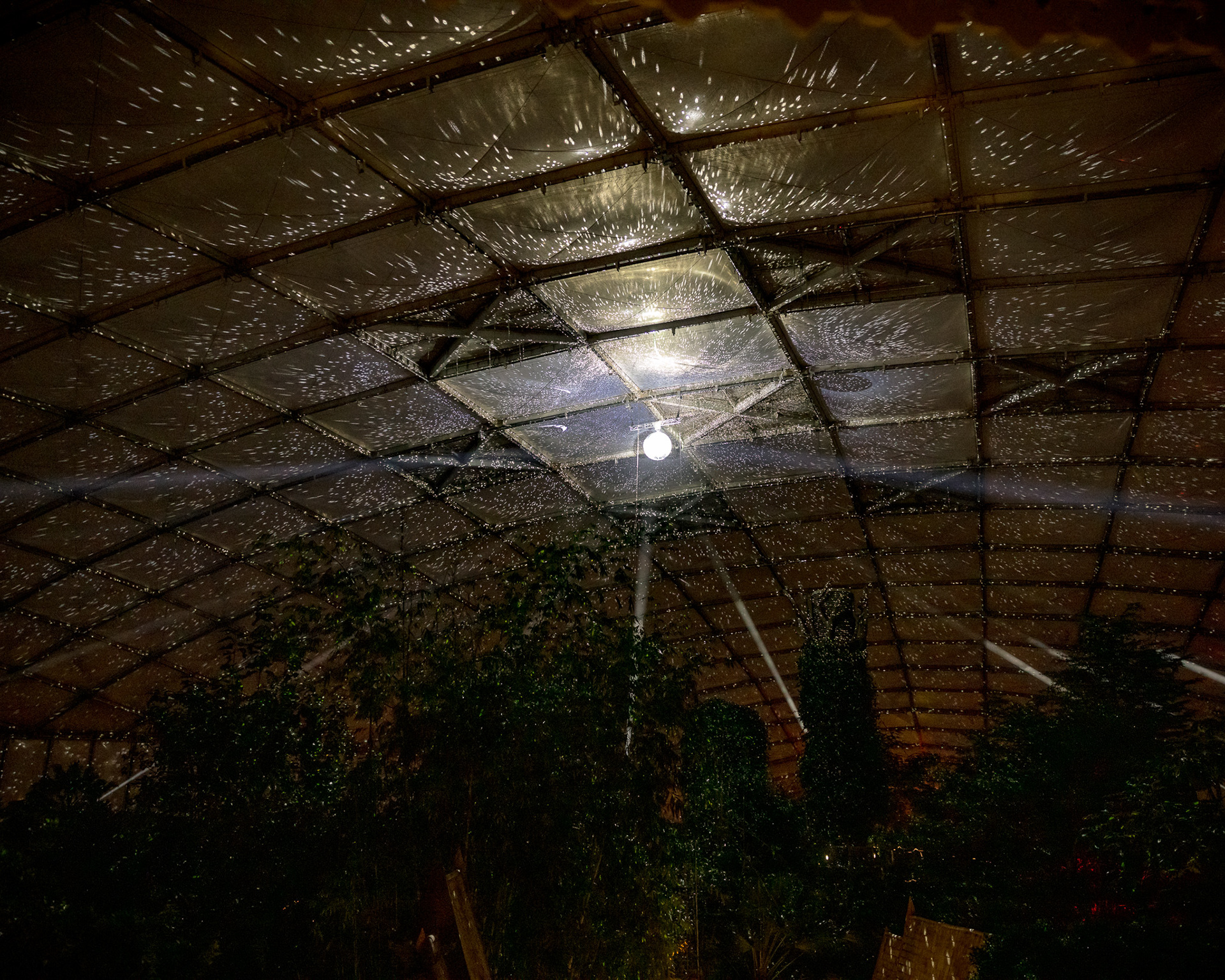 Magisches Tropenleuchten 2026