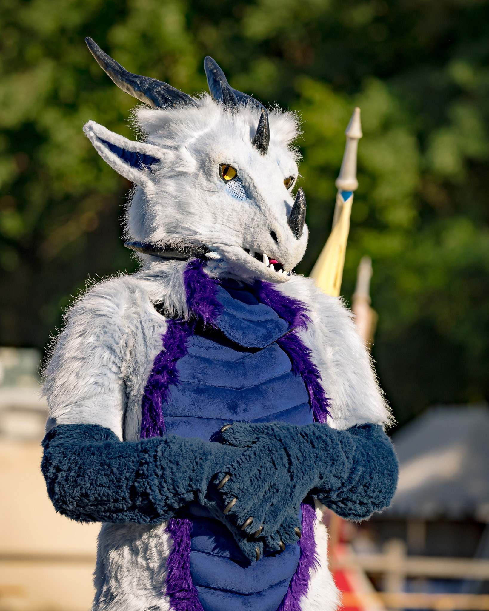 Gewandungsprämierung - MPS Luhmühlen