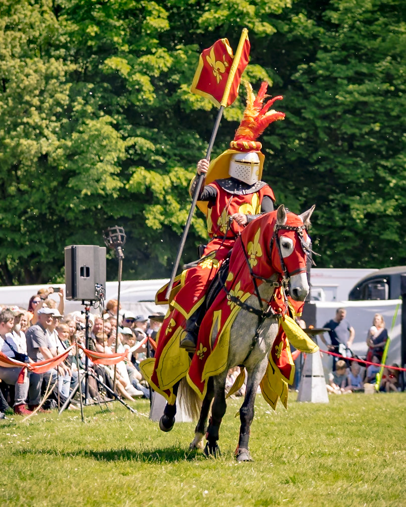 EHS - Das Schicksal der Drachen @ Junior MPS