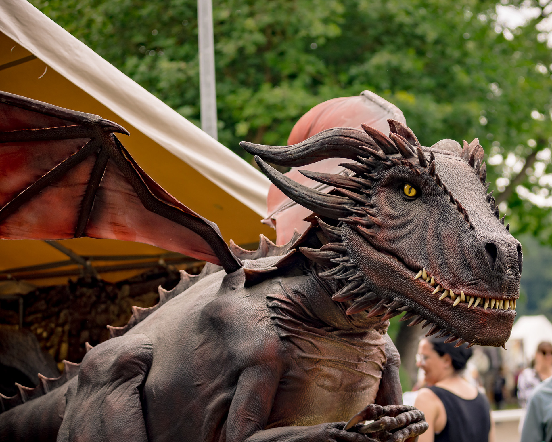 RaptoRex - MPS Rastede