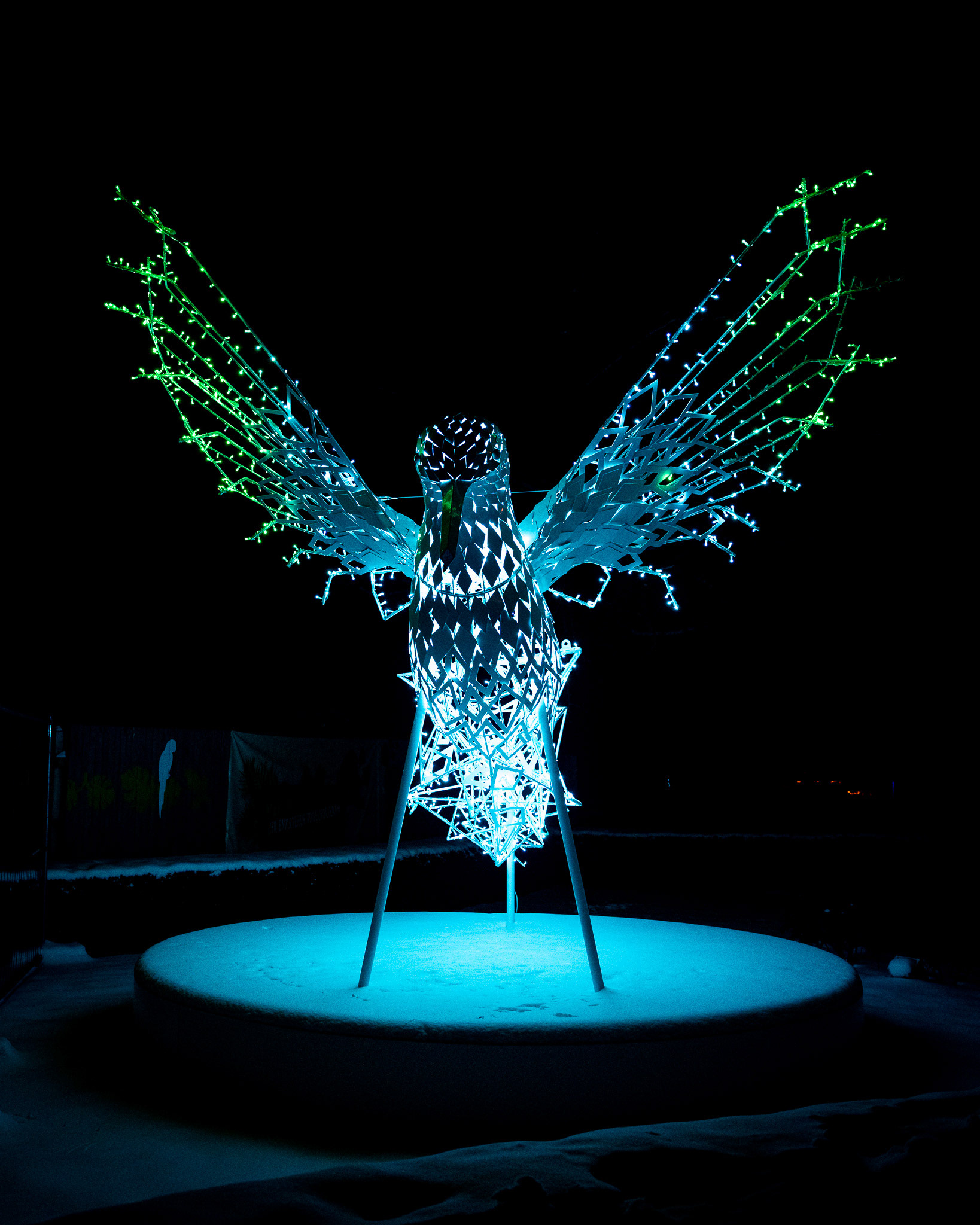 Magisches Tropenleuchten 2026