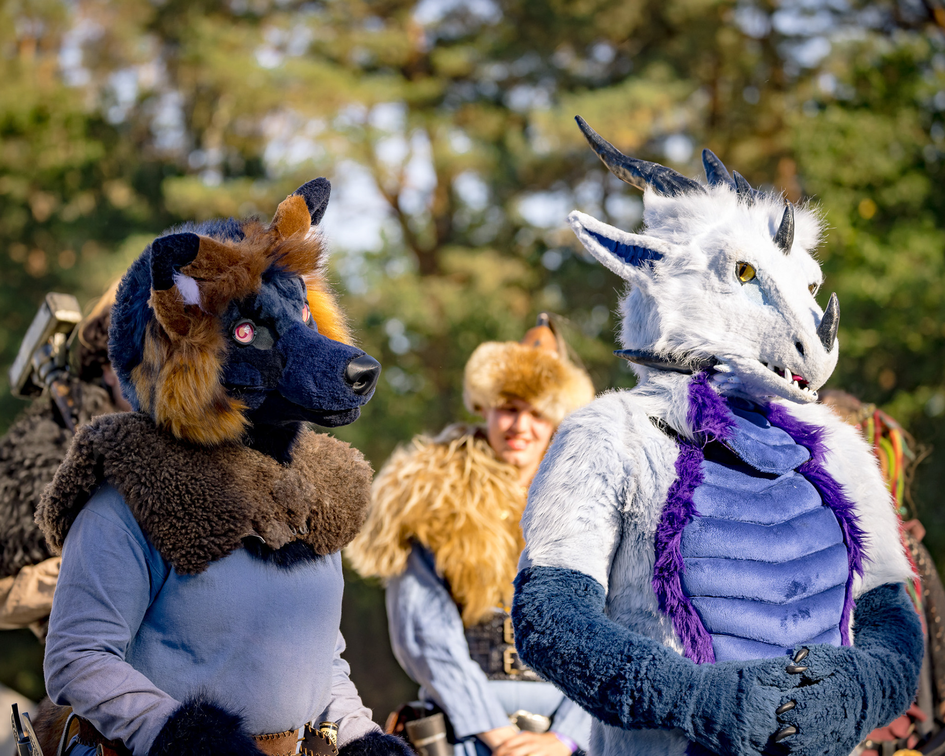 Gewandungsprämierung - MPS Luhmühlen