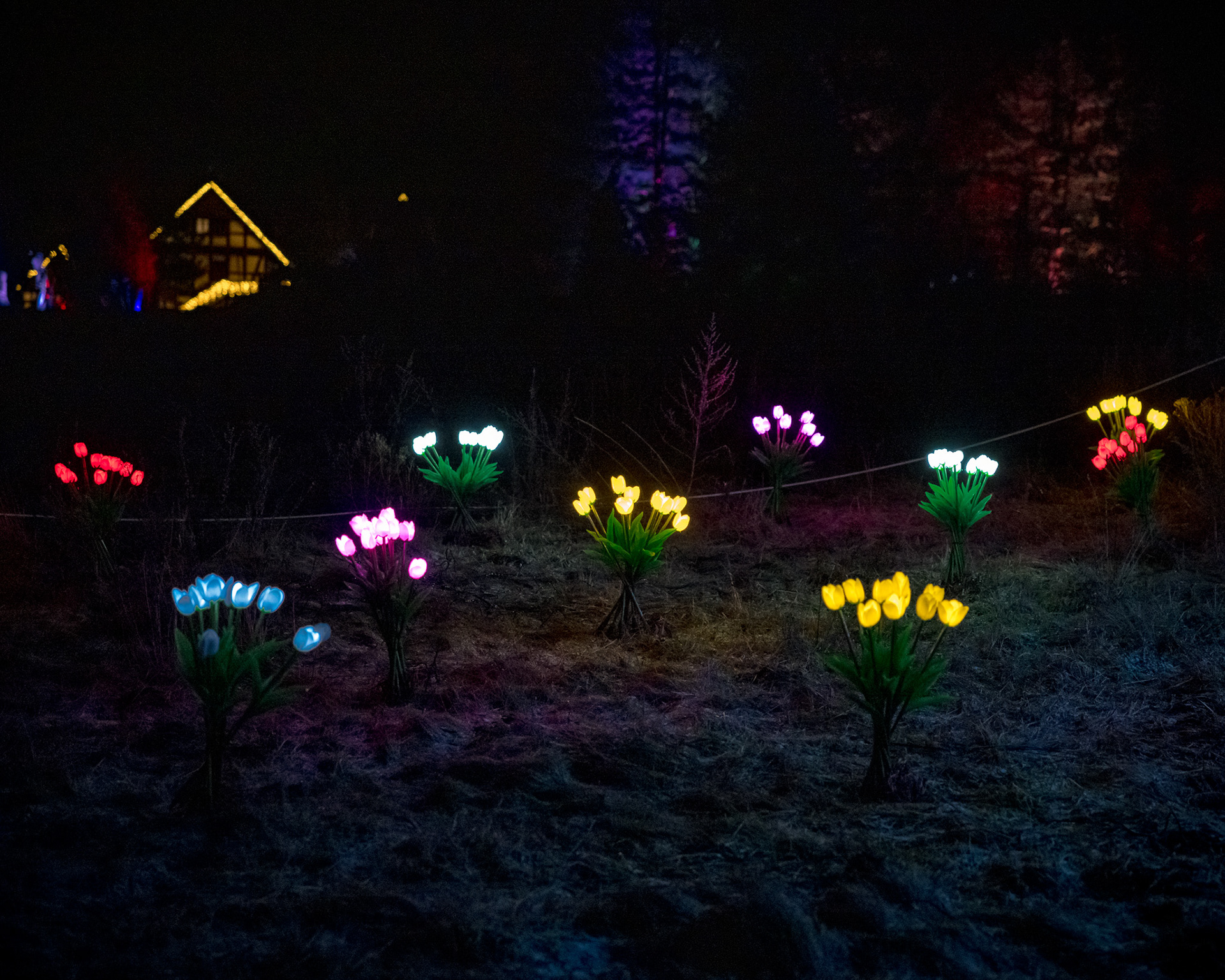 BRAWO Mühlenlichter 2026