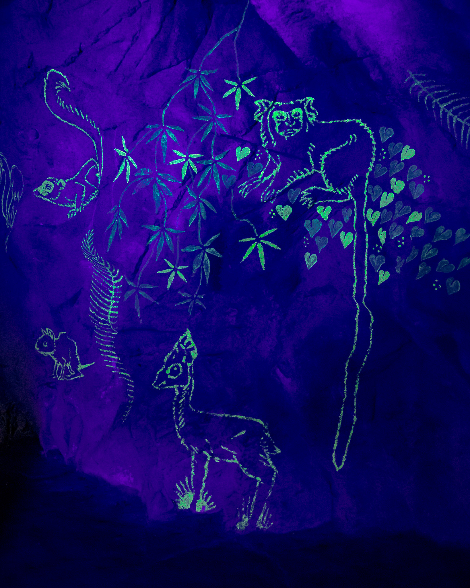 Magisches Tropenleuchten 2026