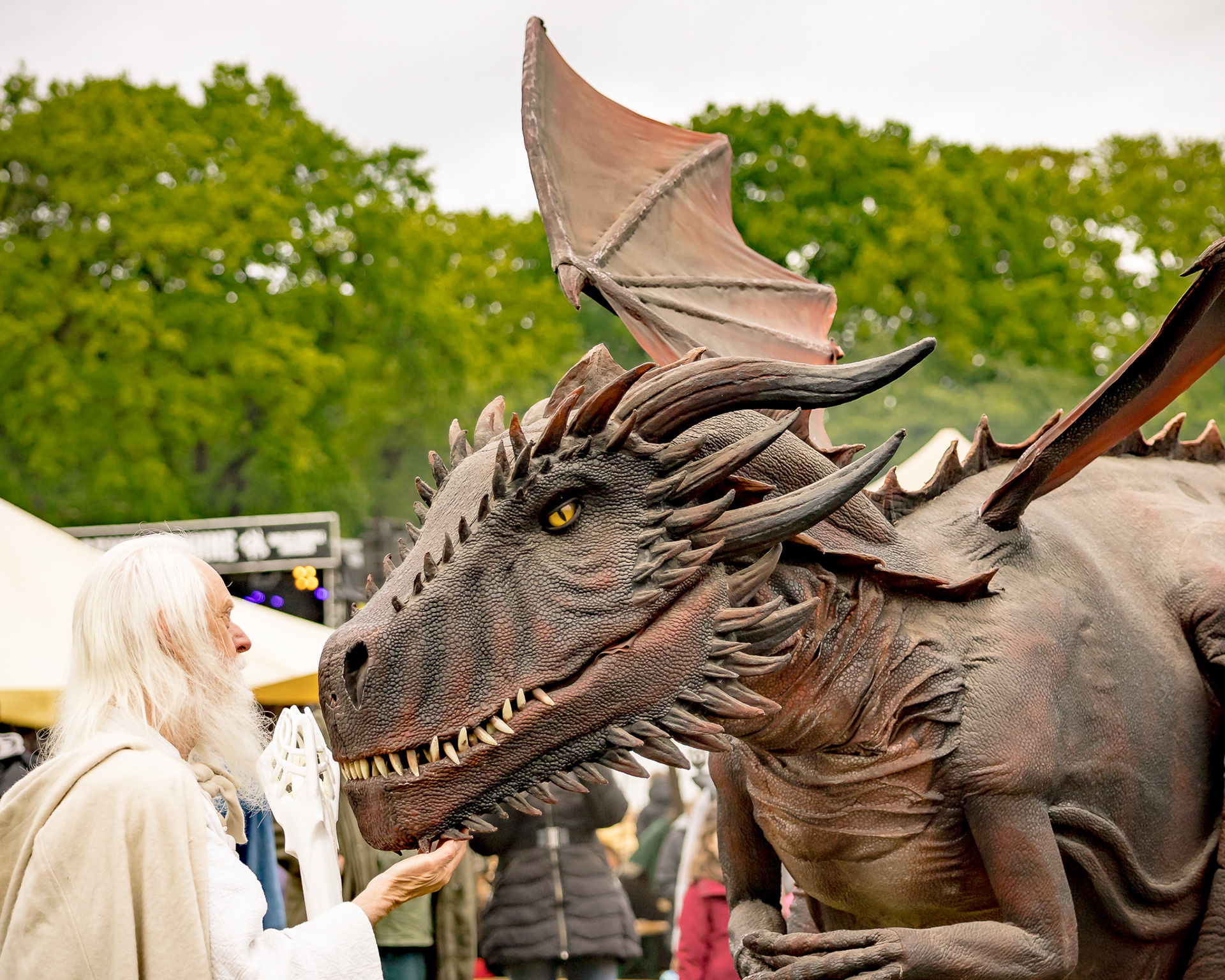 RaptoRex - MPS Rastede 2026