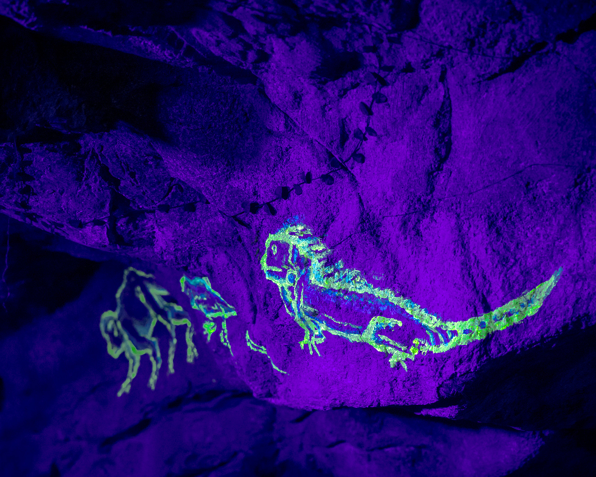 Magisches Tropenleuchten 2026