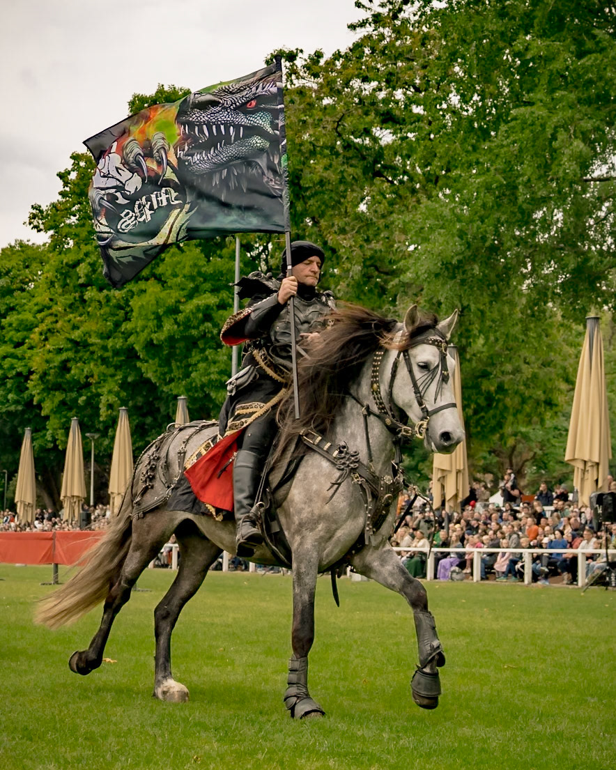 EHS Ritterturnier @ MPS Rastede