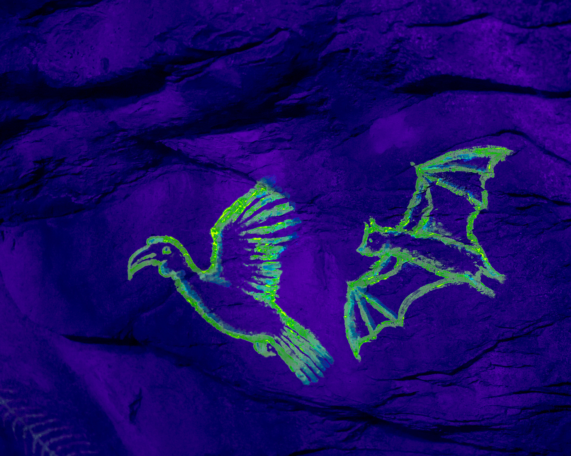 Magisches Tropenleuchten 2026