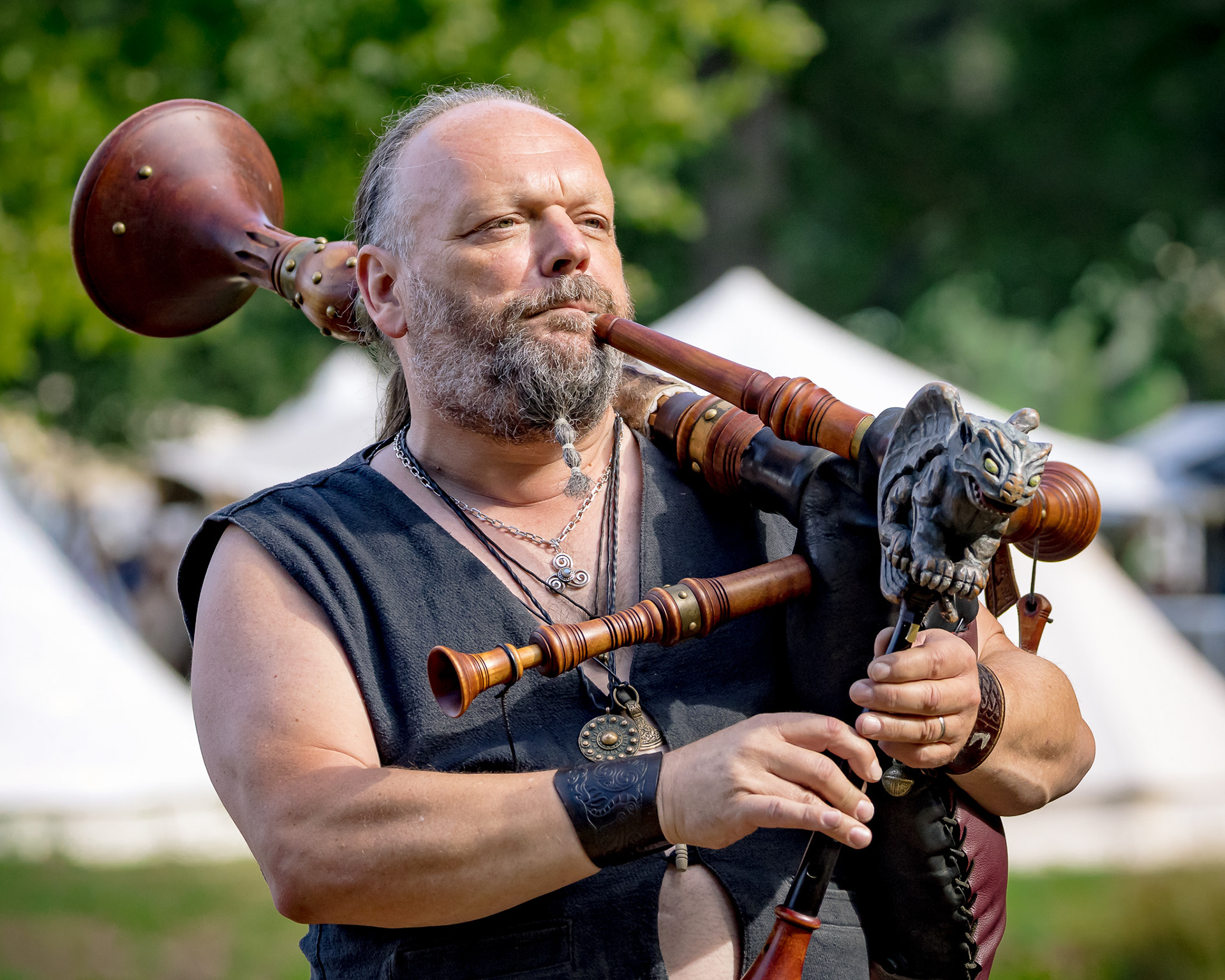 Comes Vagantes - MPS Luhmühlen