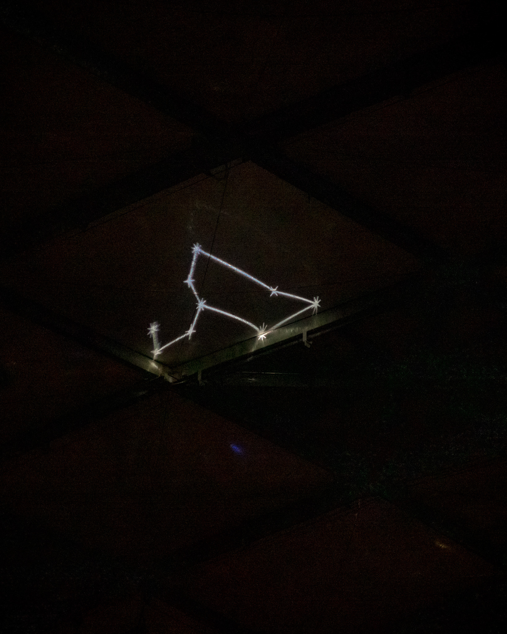 Magisches Tropenleuchten 2026