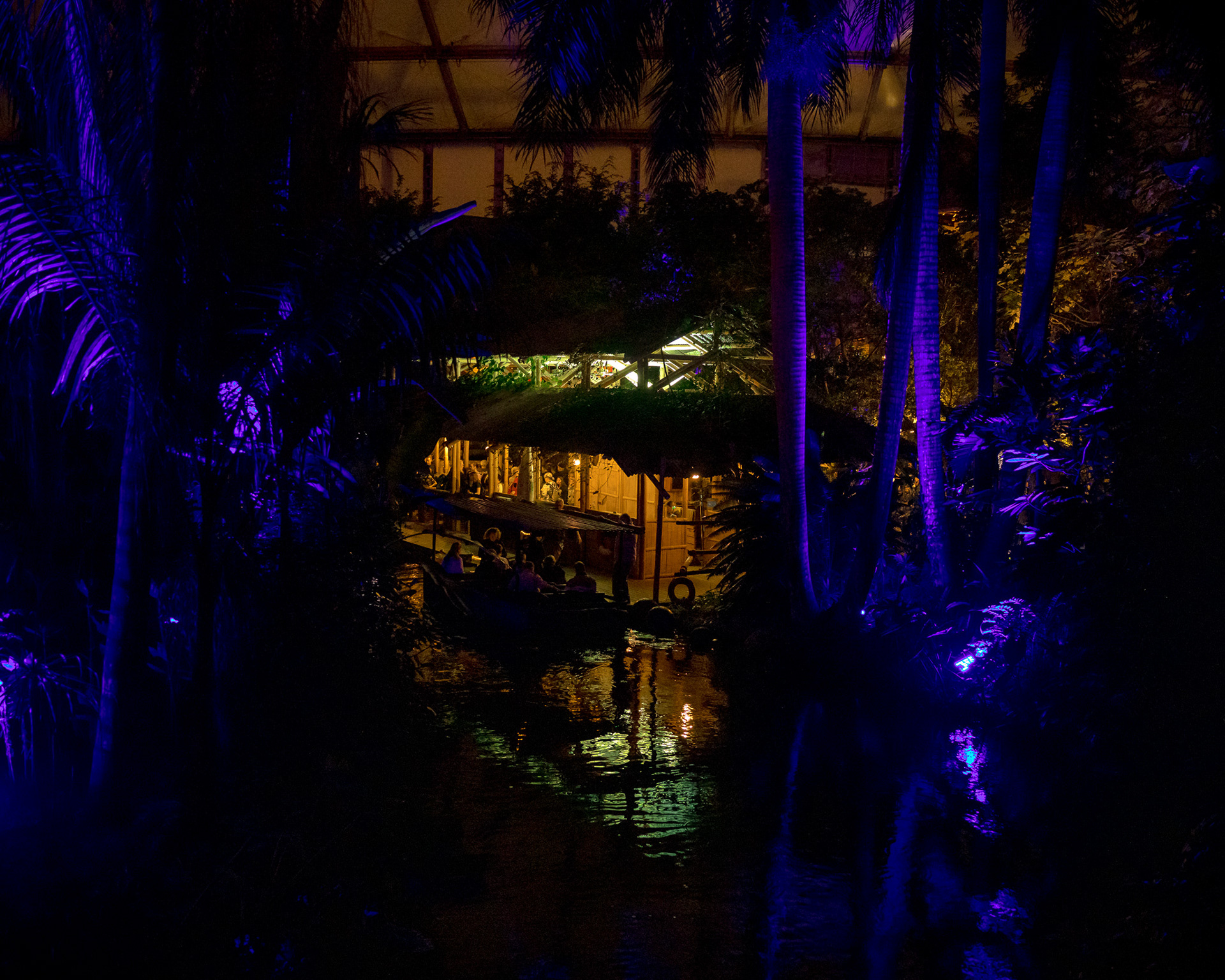 Magisches Tropenleuchten 2026