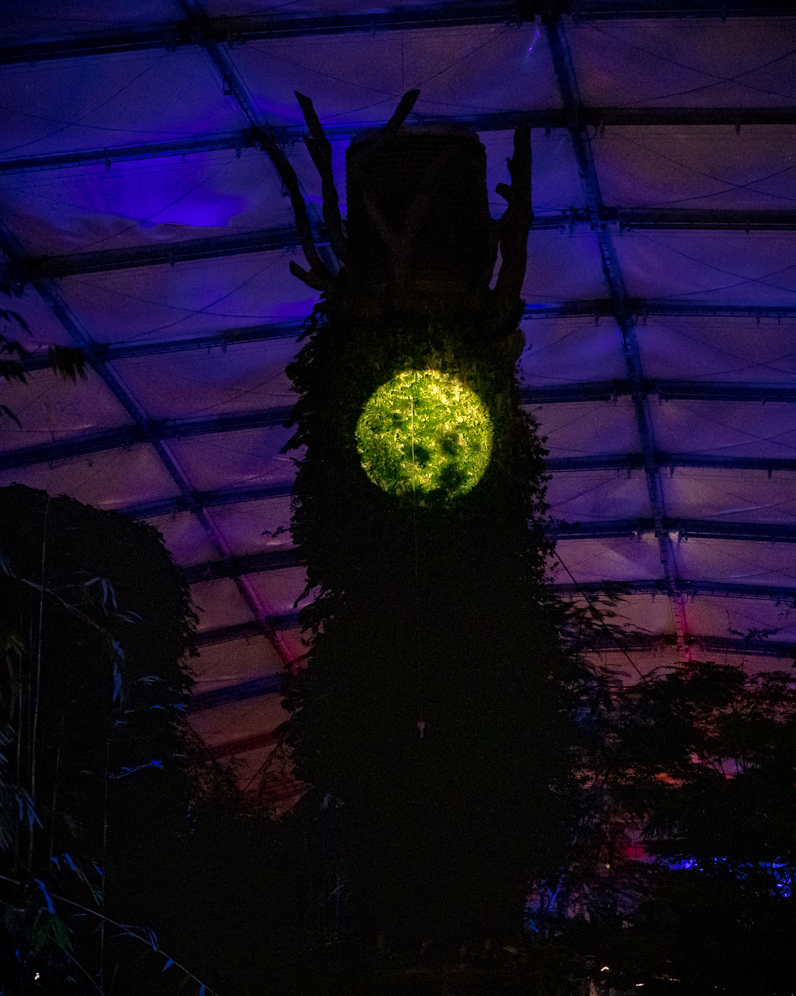 Magisches Tropenleuchten 2026