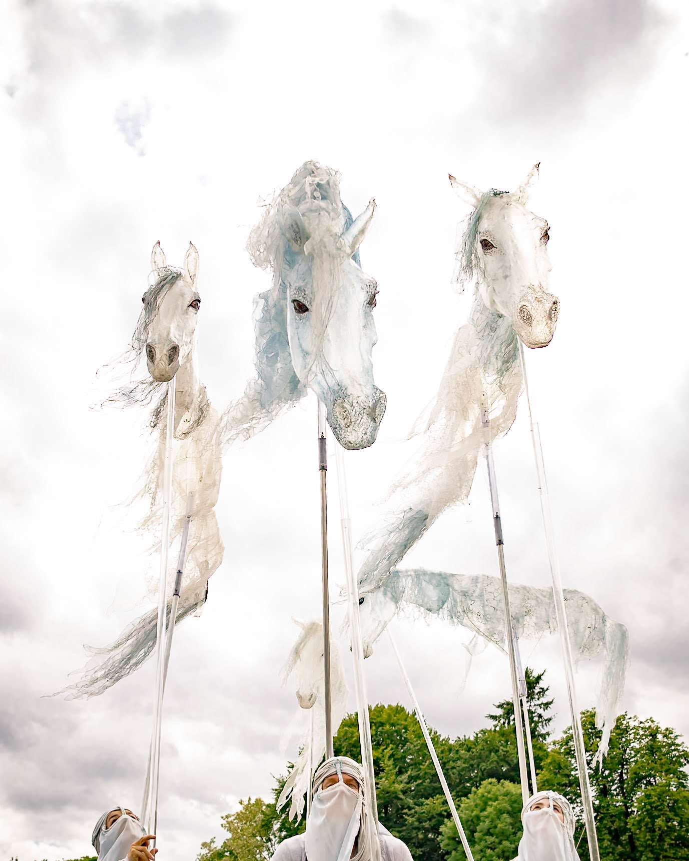 Pantao Windpferde - MPS Rastede