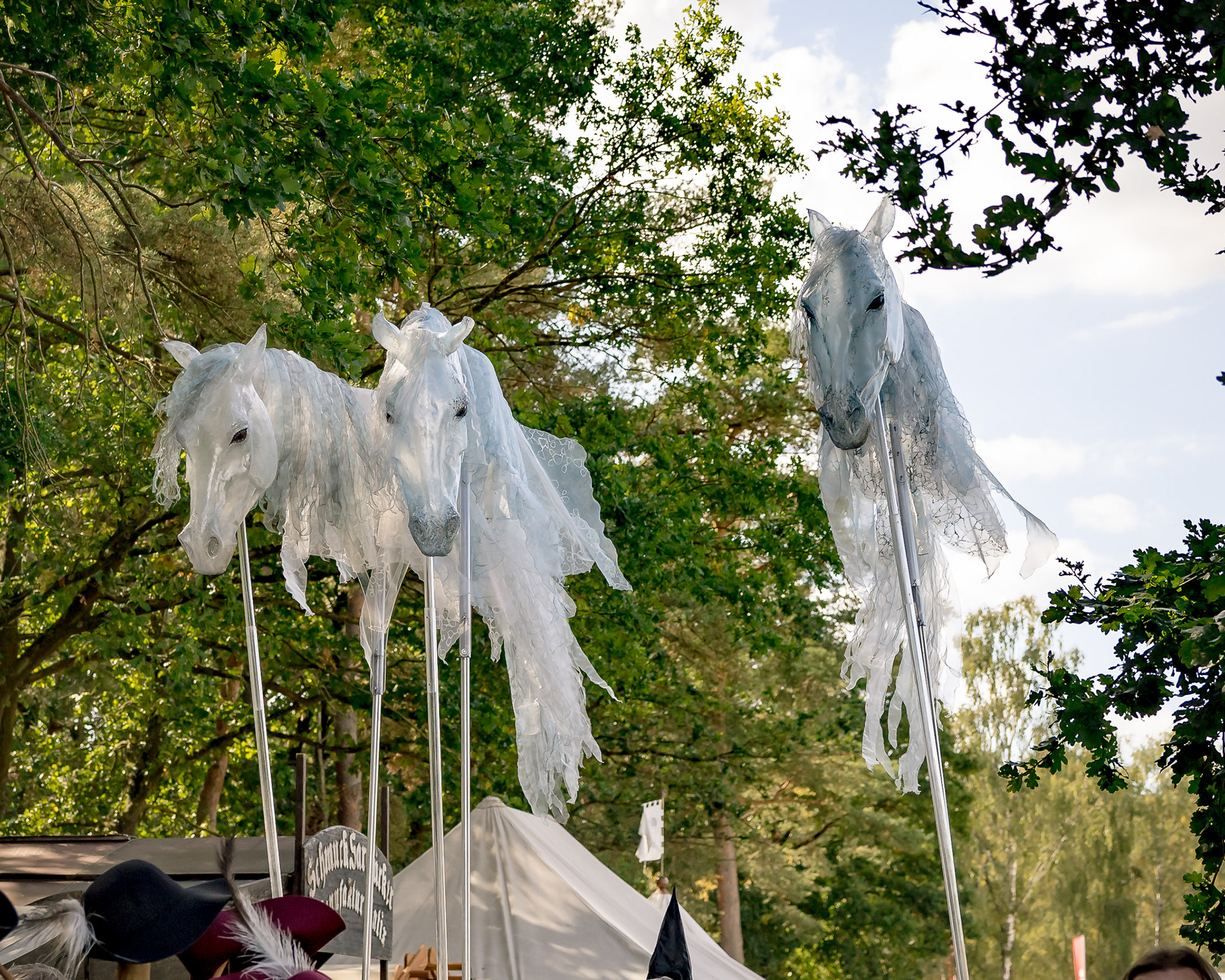Pantao Windpferde- Impressionen MPS Luhmühlen