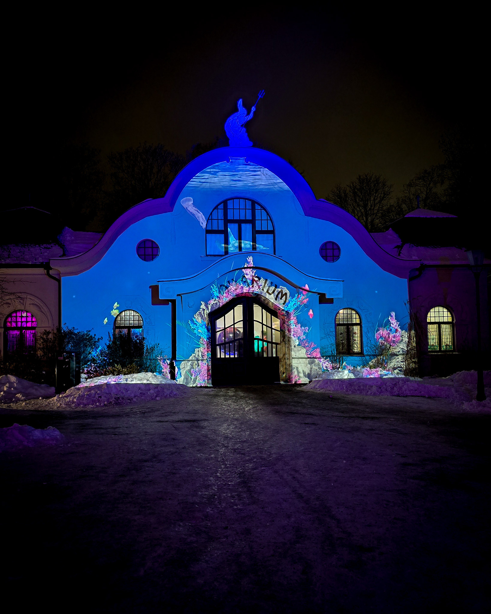 Magisches Tropenleuchten 2026