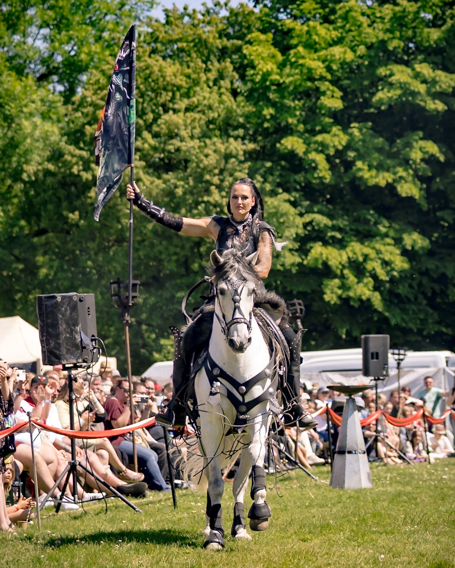 EHS - Das Schicksal der Drachen @ Junior MPS