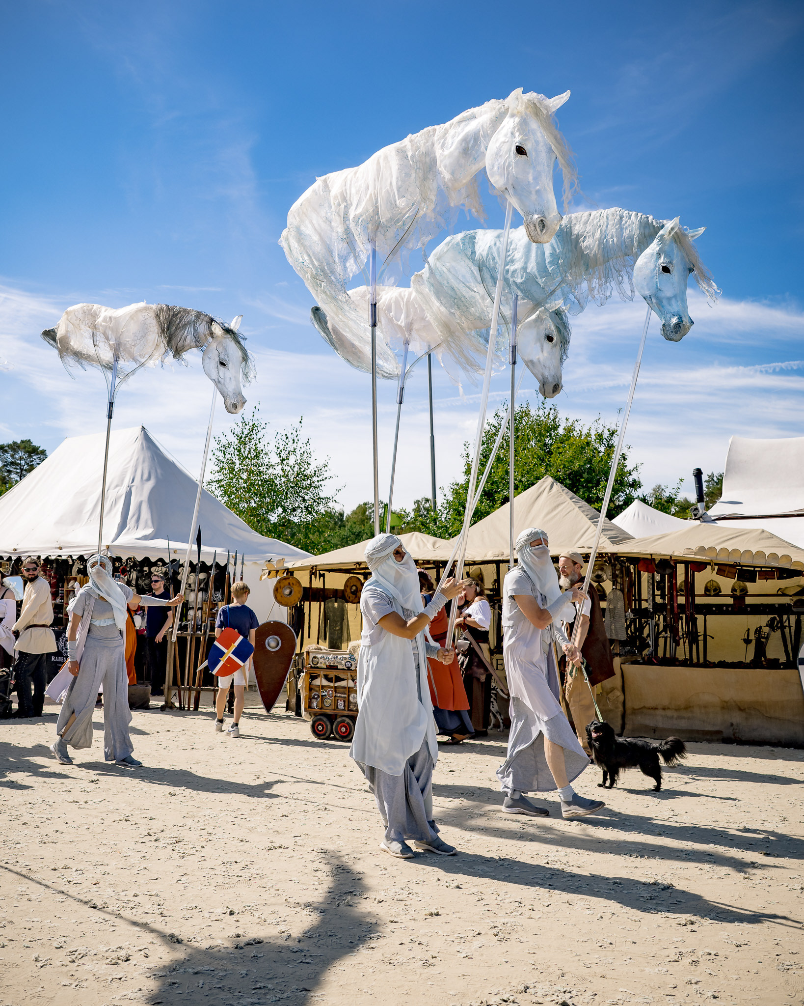 Pantao Windpferde- Impressionen MPS Luhmühlen