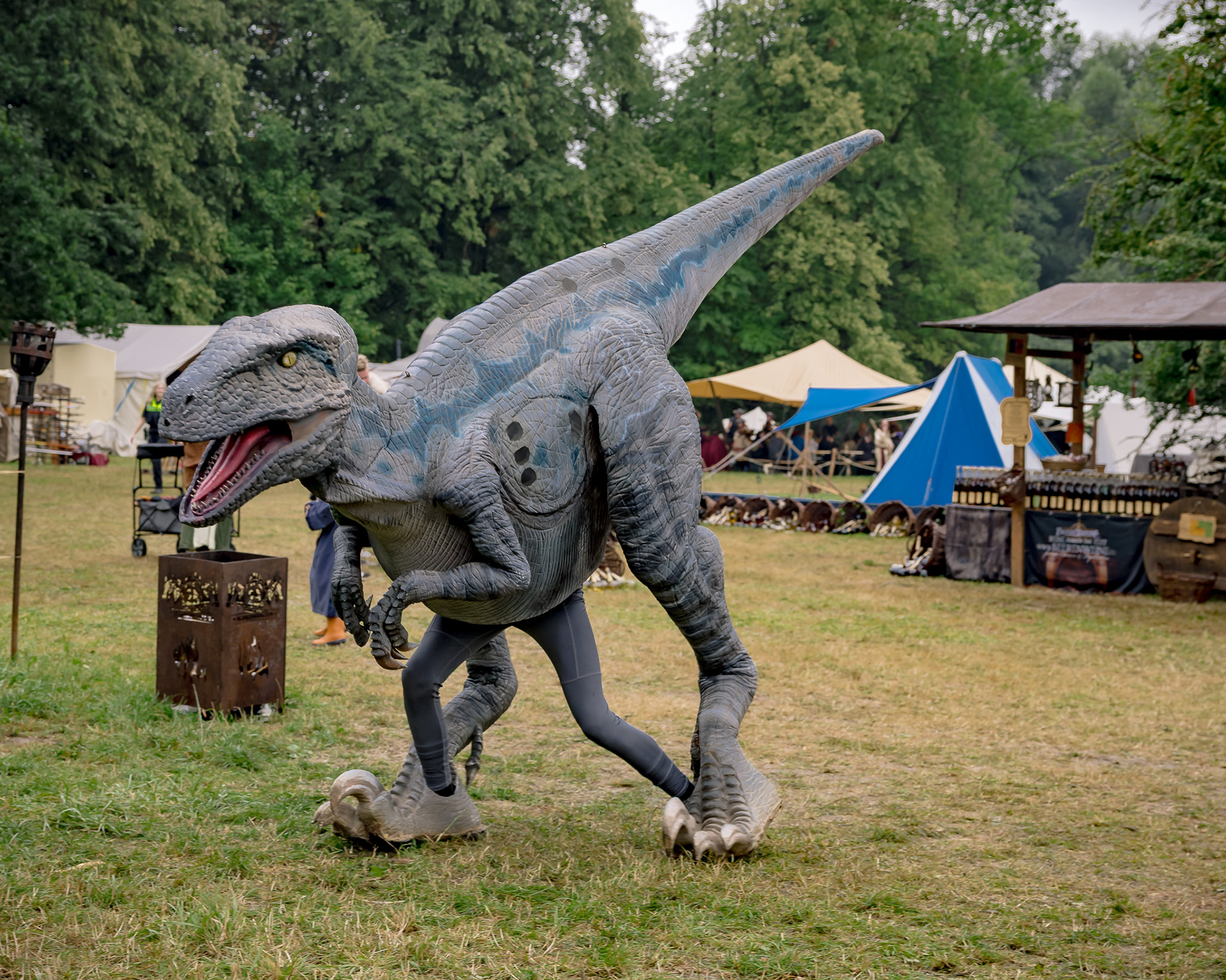 RaptoRex - MPS Bückeburg