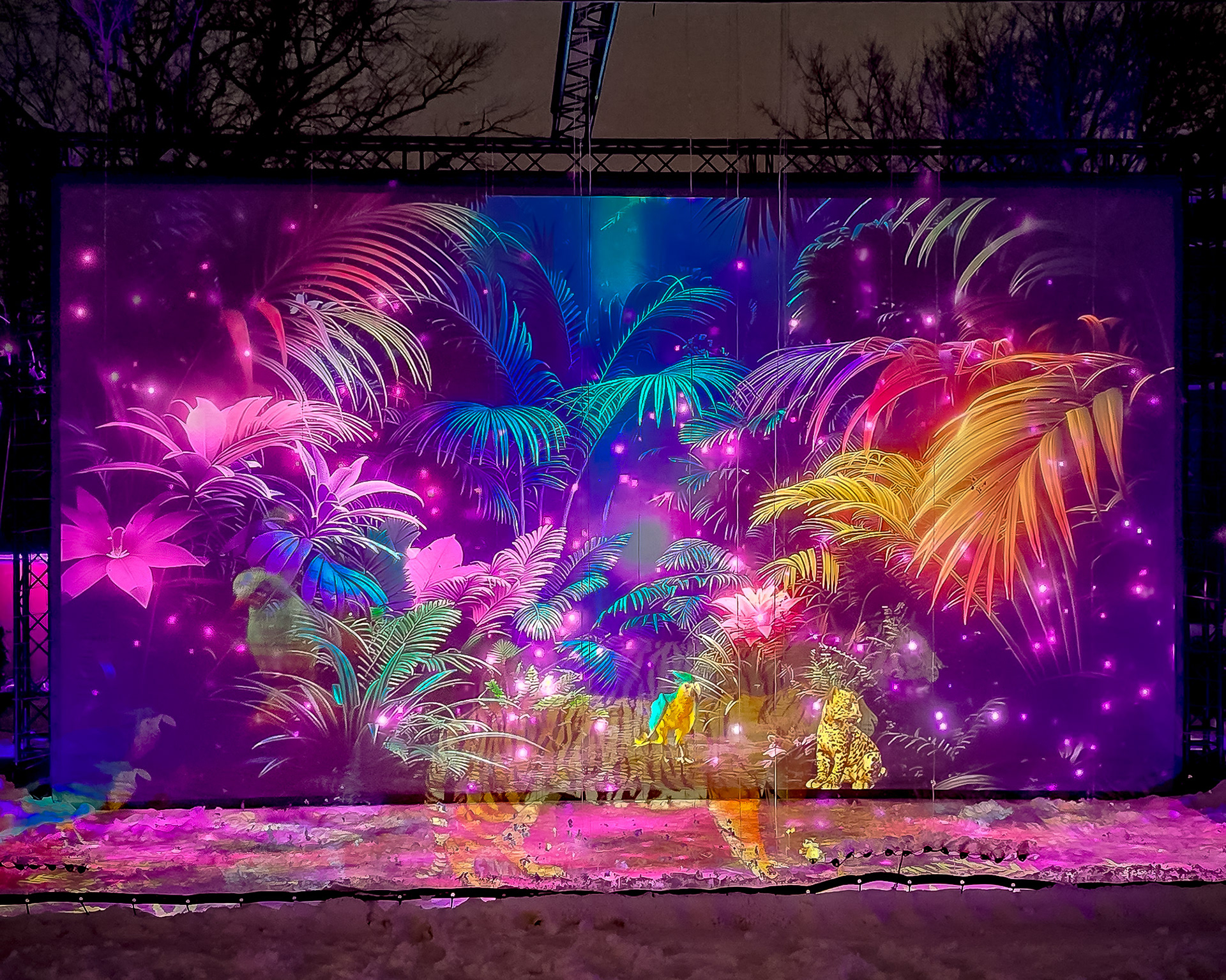 Magisches Tropenleuchten 2026