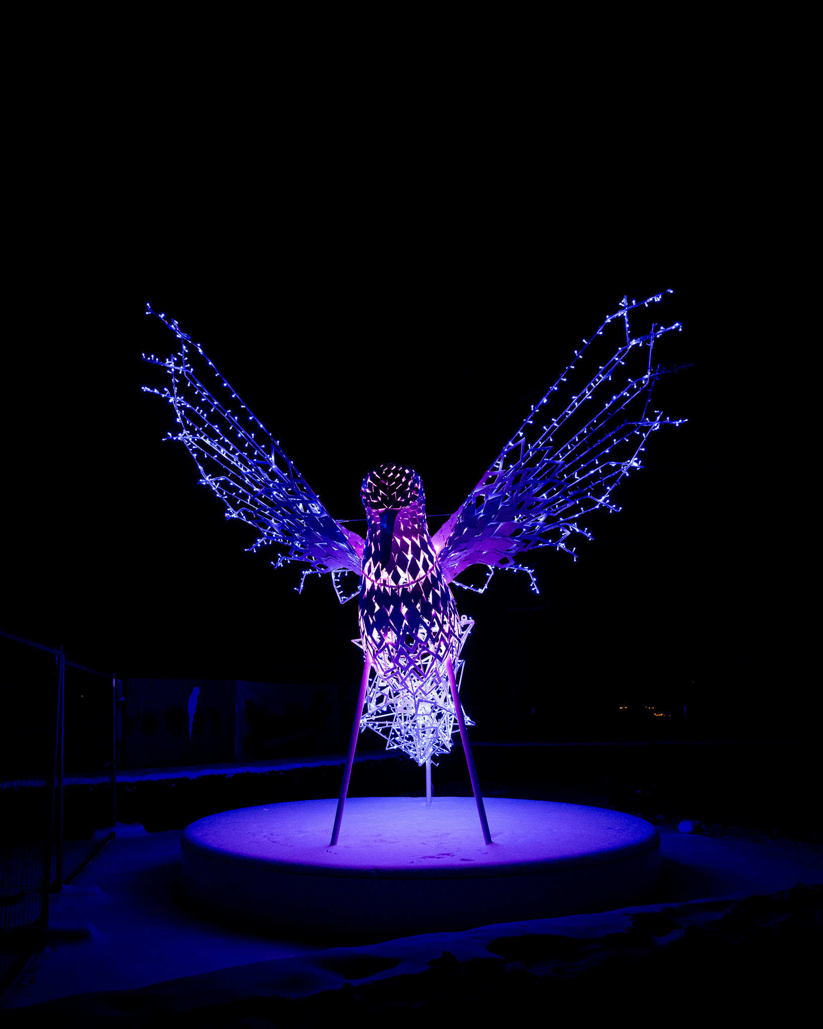 Magisches Tropenleuchten 2026