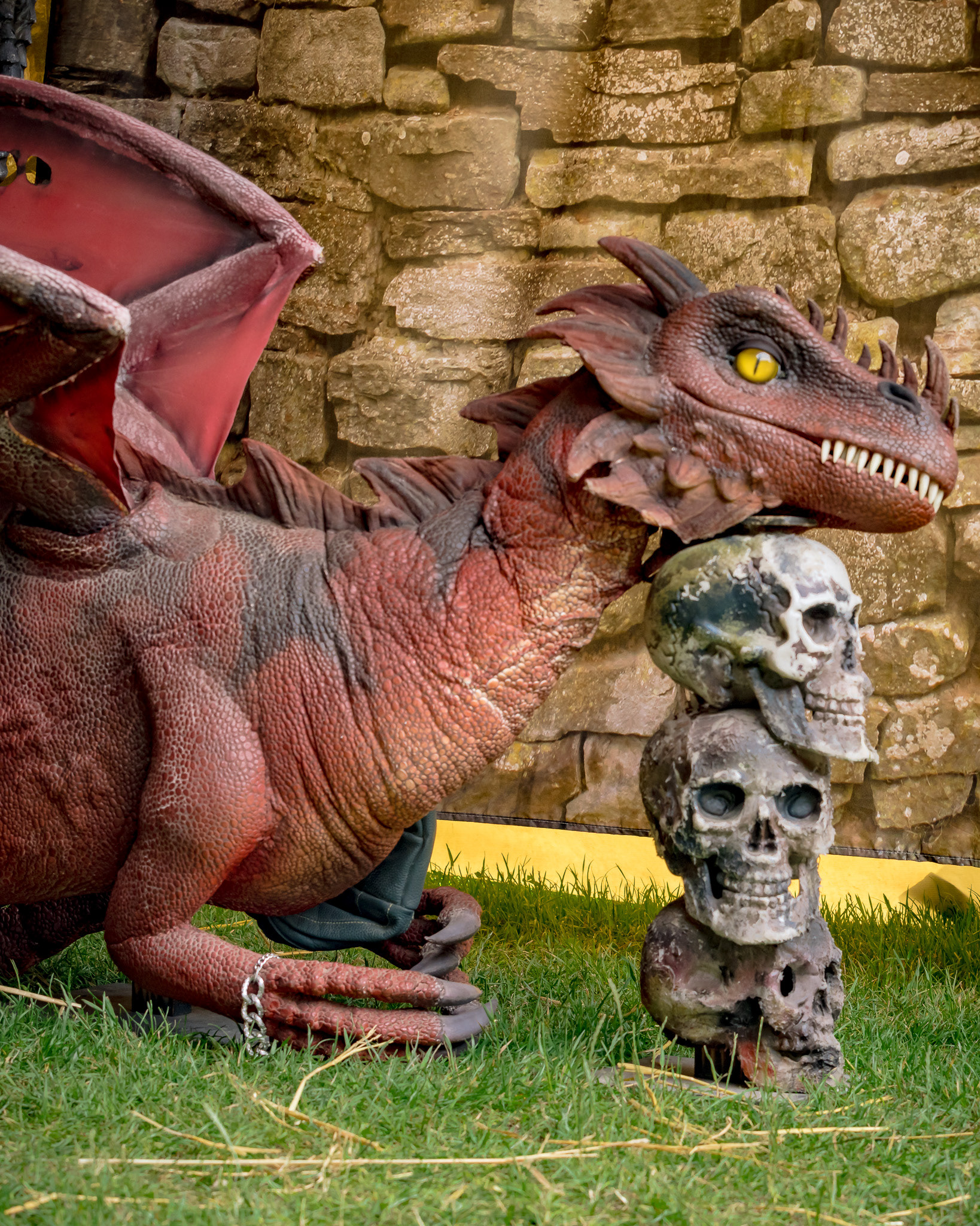 RaptoRex - MPS Rastede