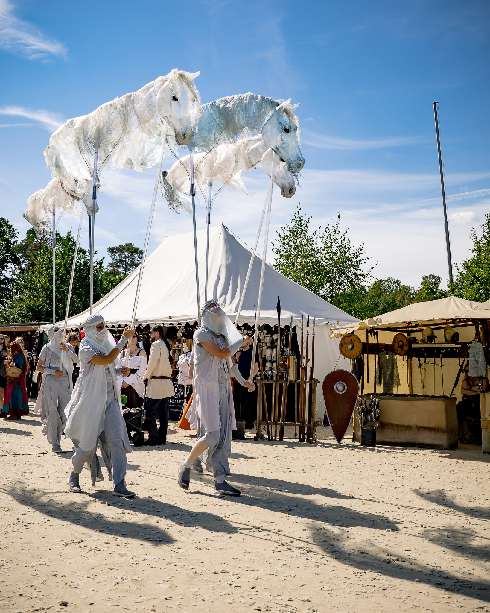 Pantao Windpferde- Impressionen MPS Luhmühlen