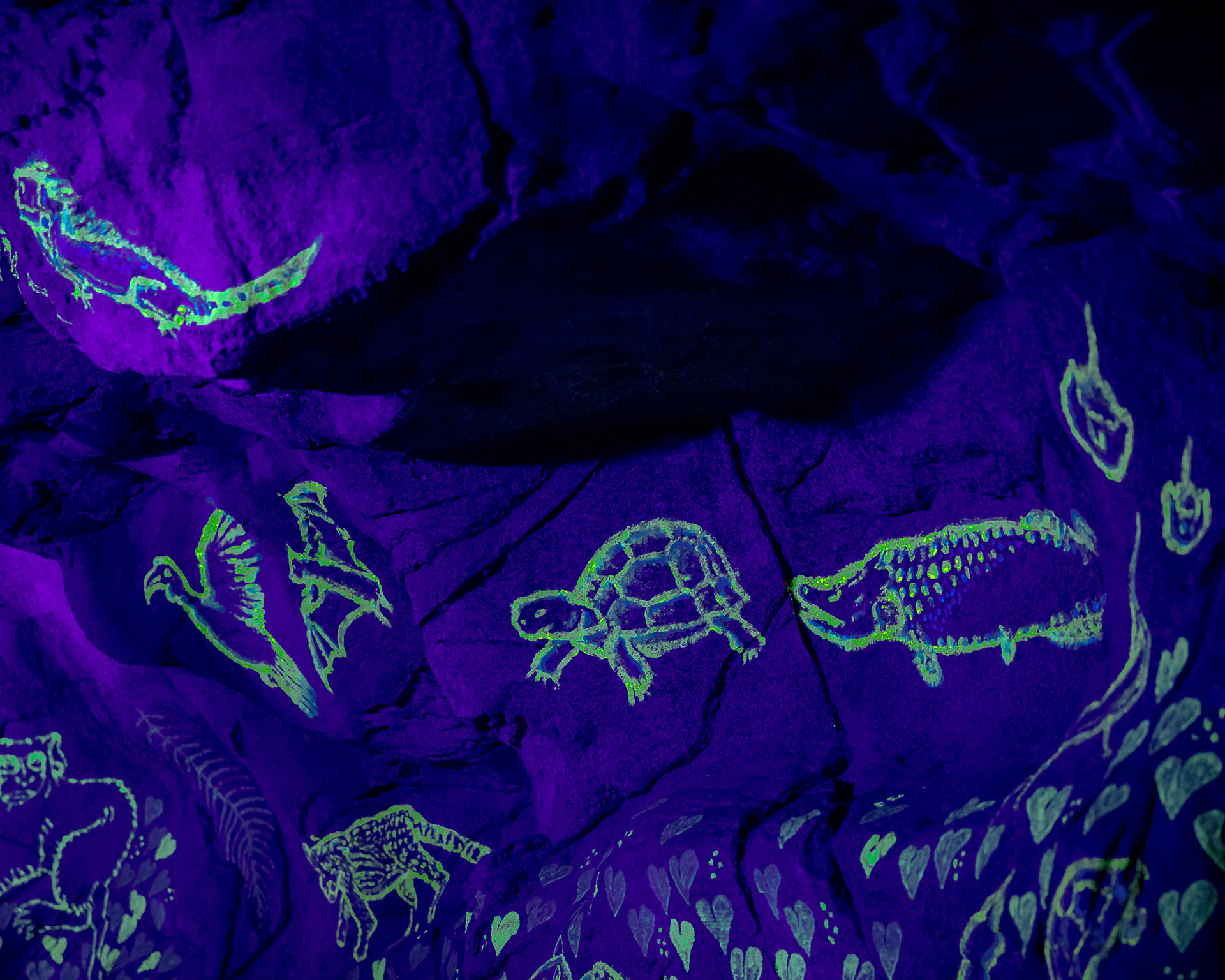 Magisches Tropenleuchten 2026