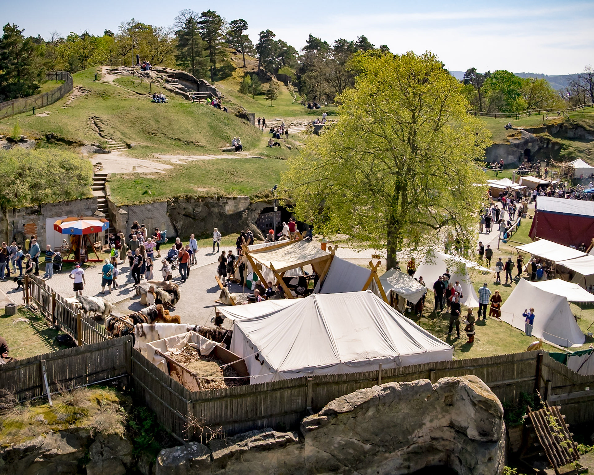 Wikinger auf Burg Regenstein