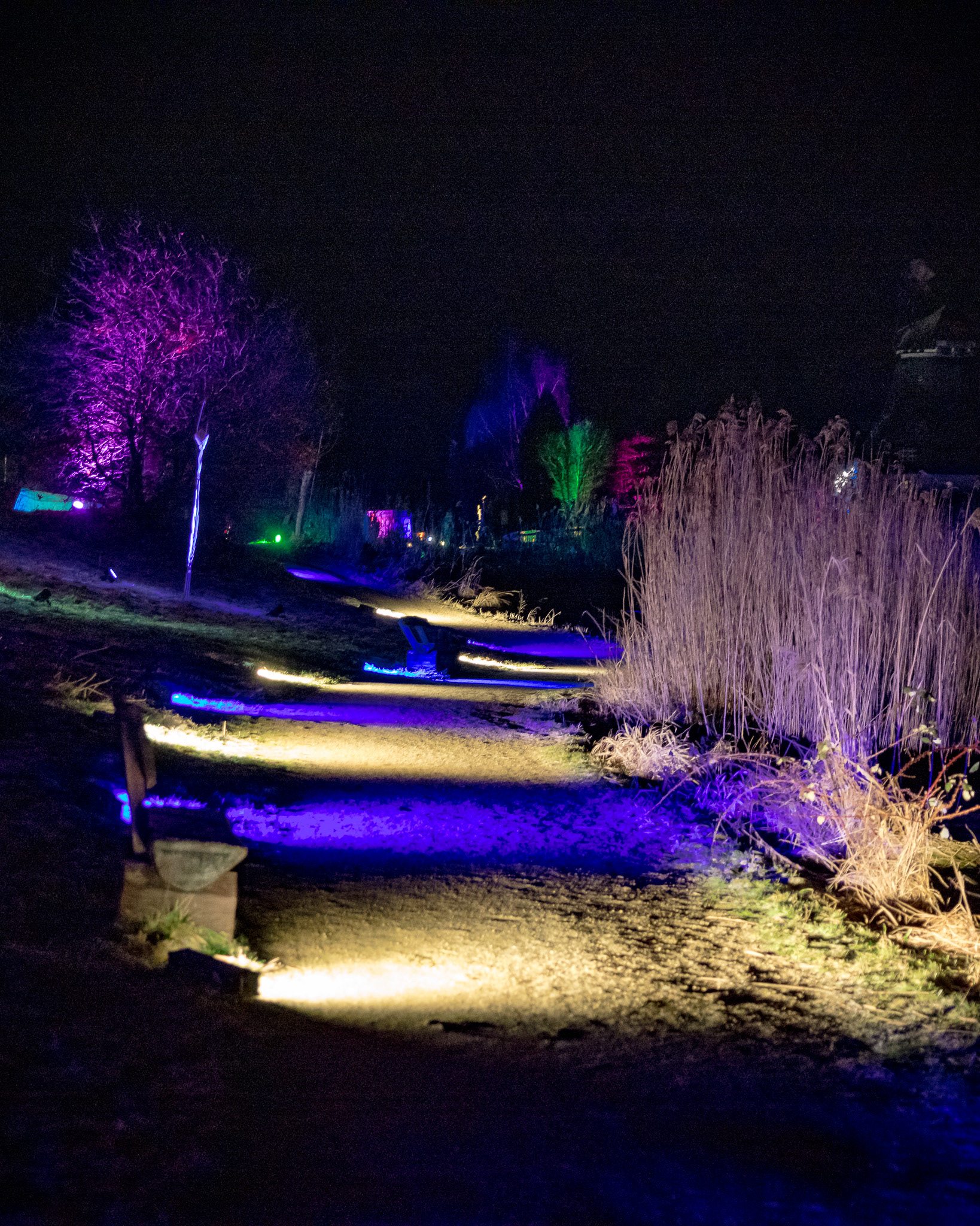 BRAWO Mühlenlichter 2026