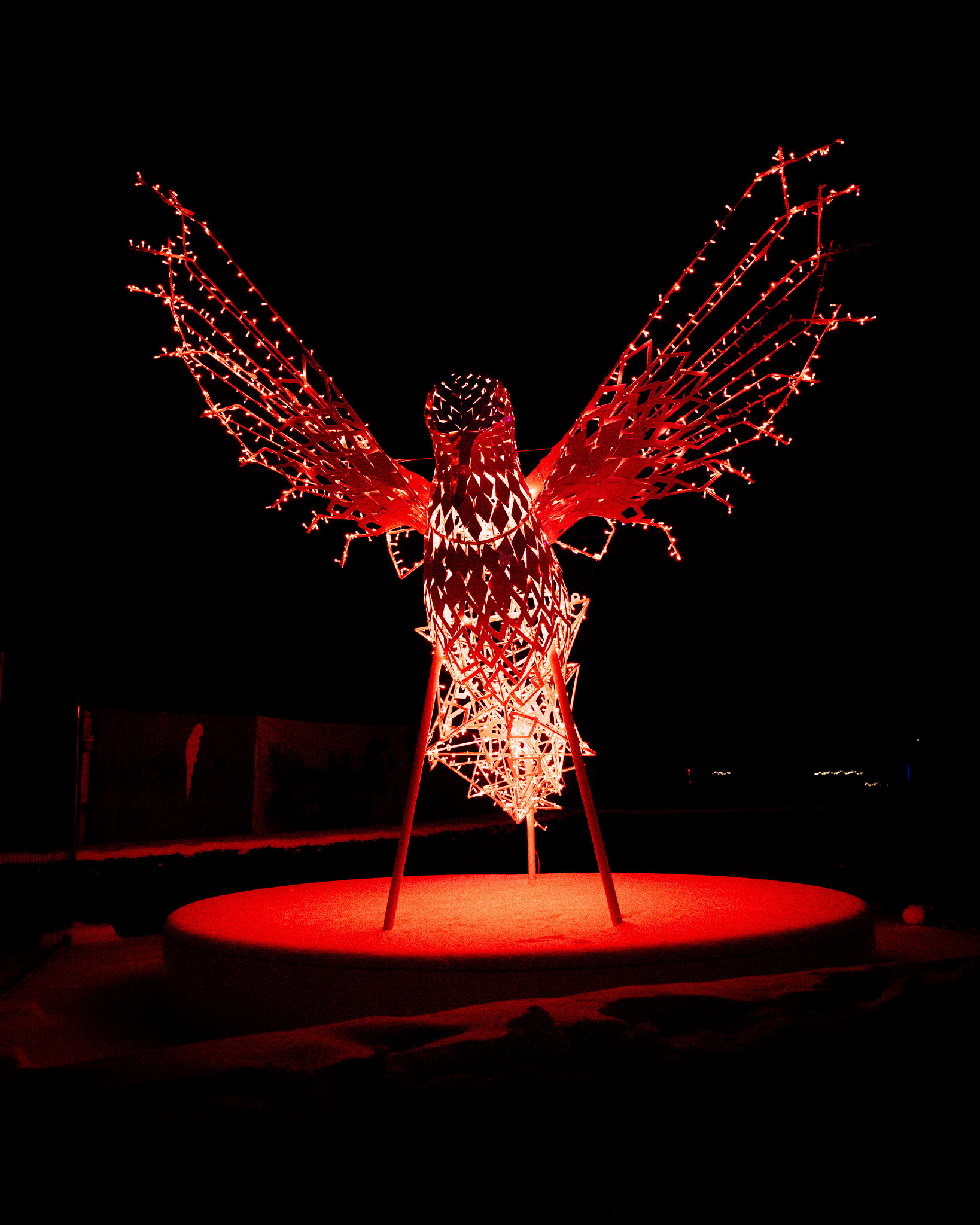 Magisches Tropenleuchten 2026