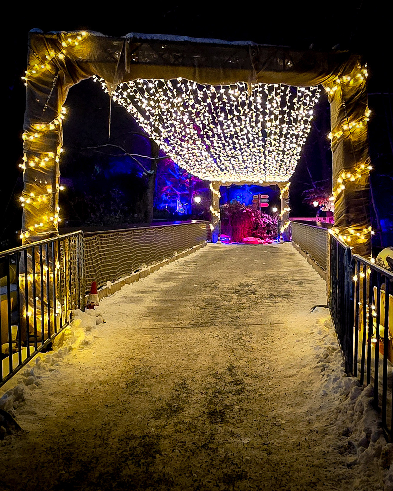 Magisches Tropenleuchten 2026