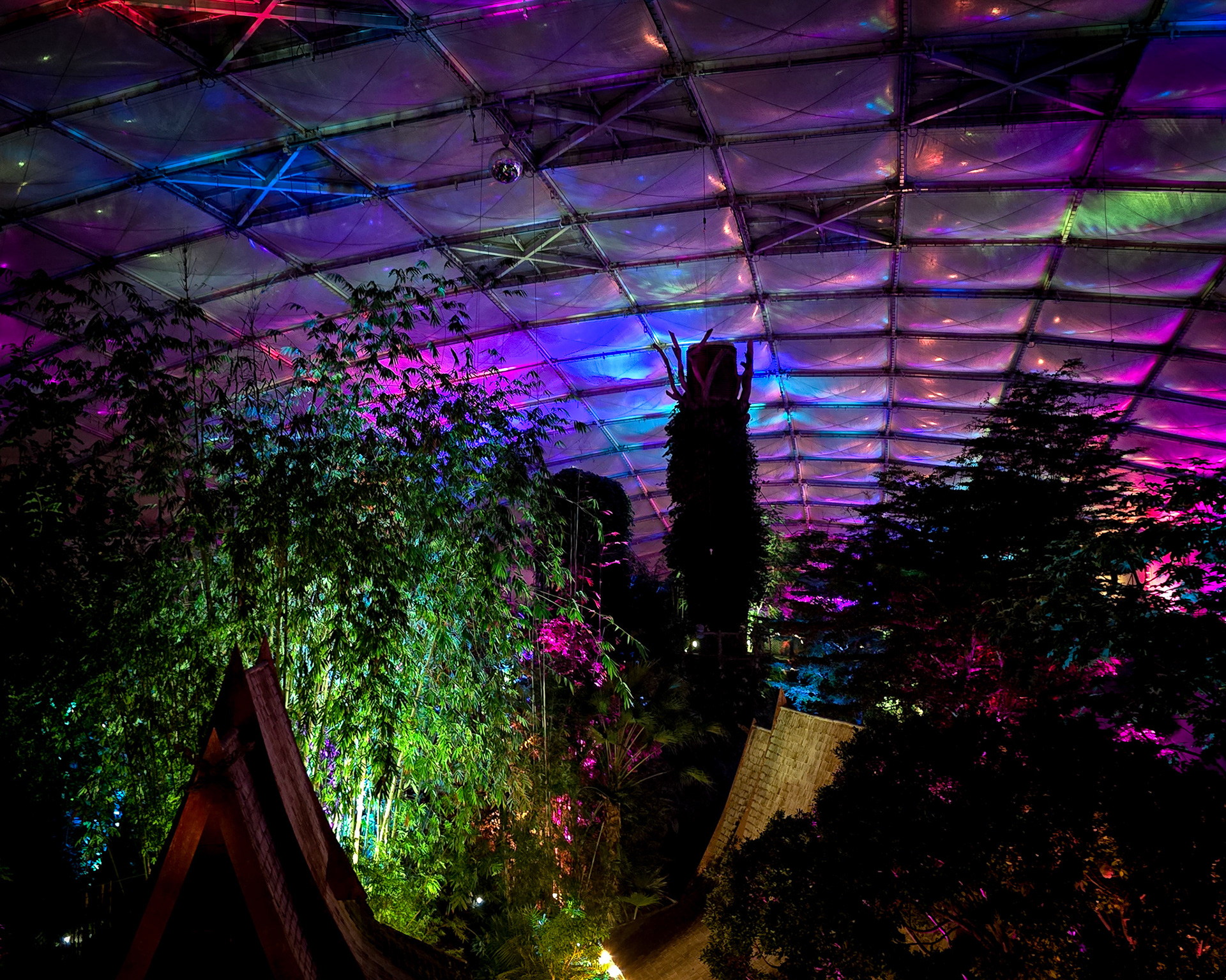 Magisches Tropenleuchten 2026